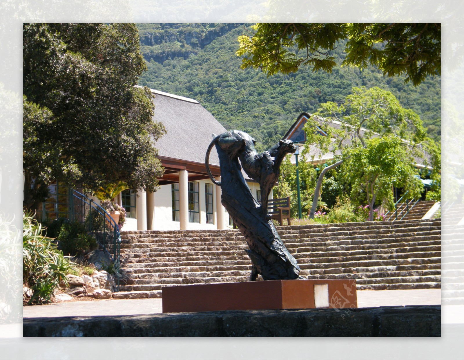 南非风光开普敦植物园雕塑