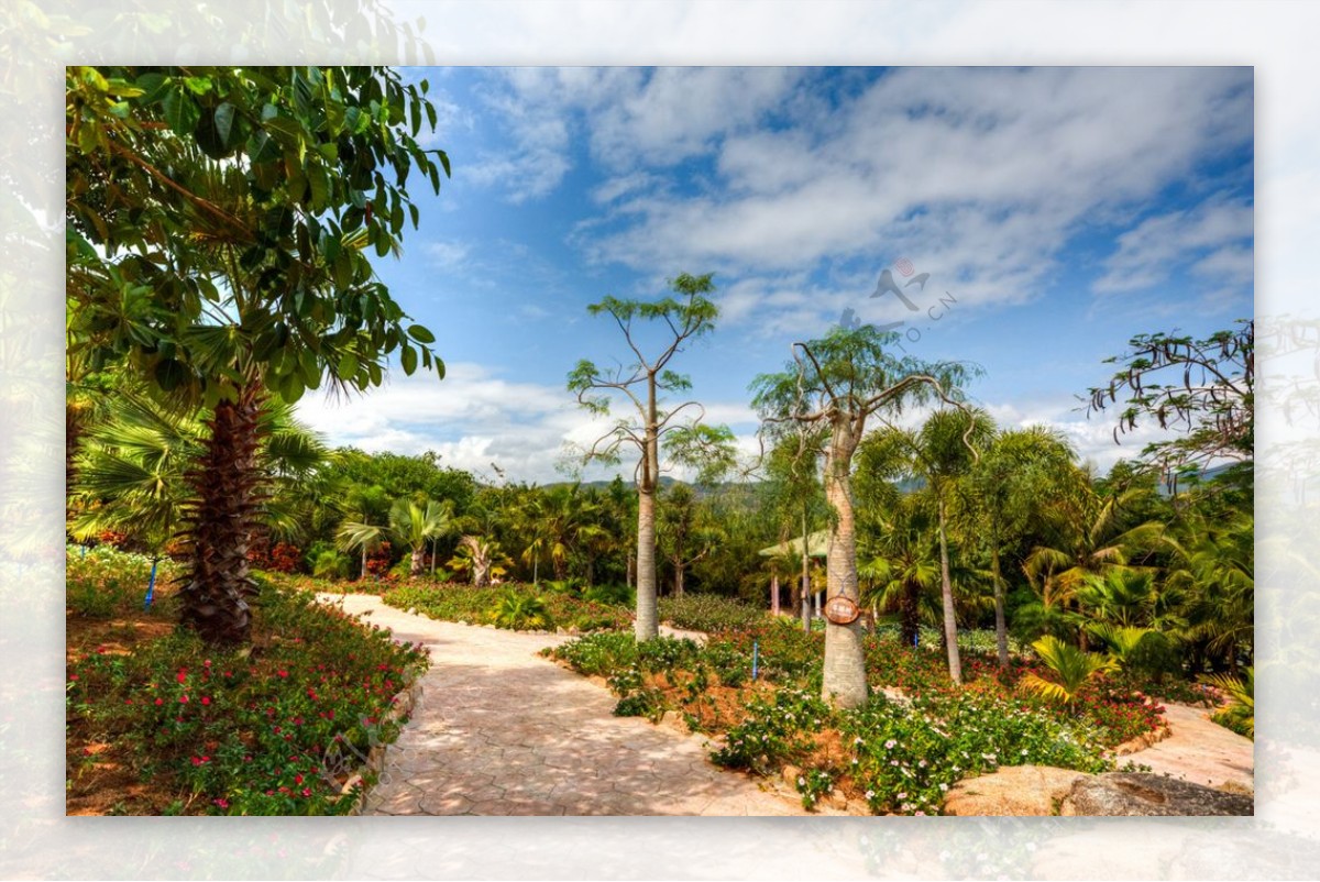 三亚南天门热带植物园