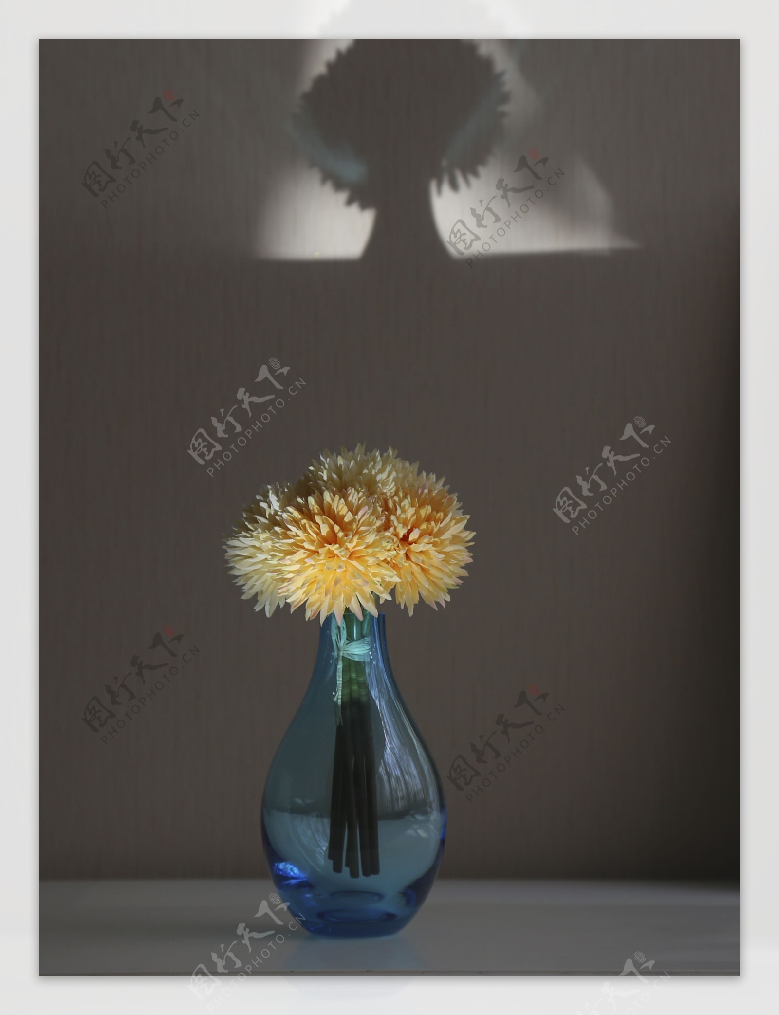 花瓶与影子