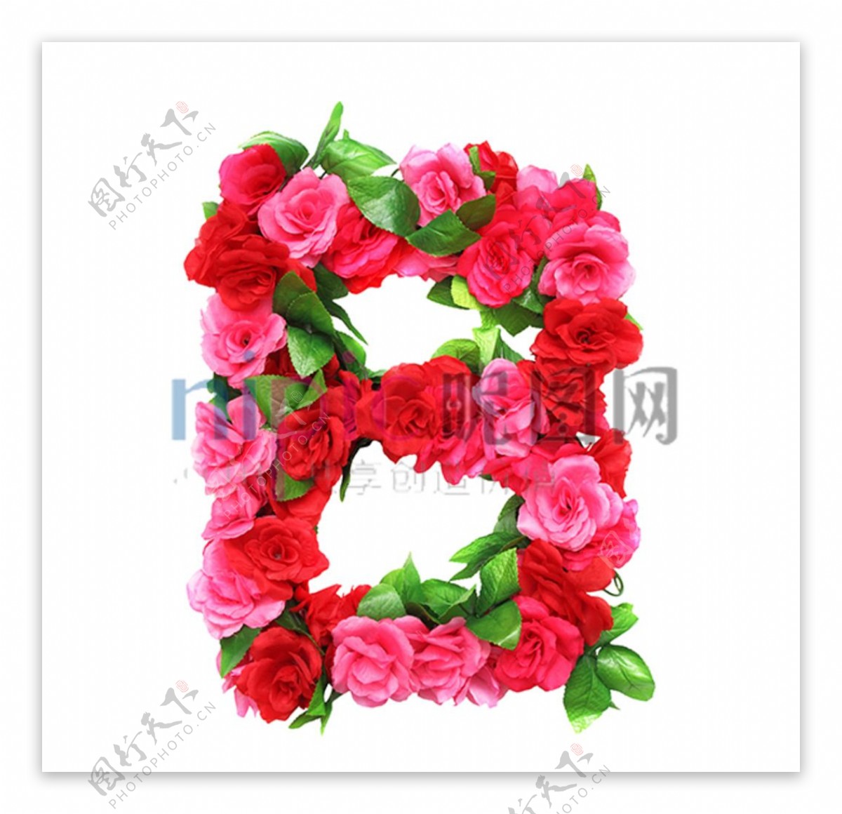 玫瑰花B字母
