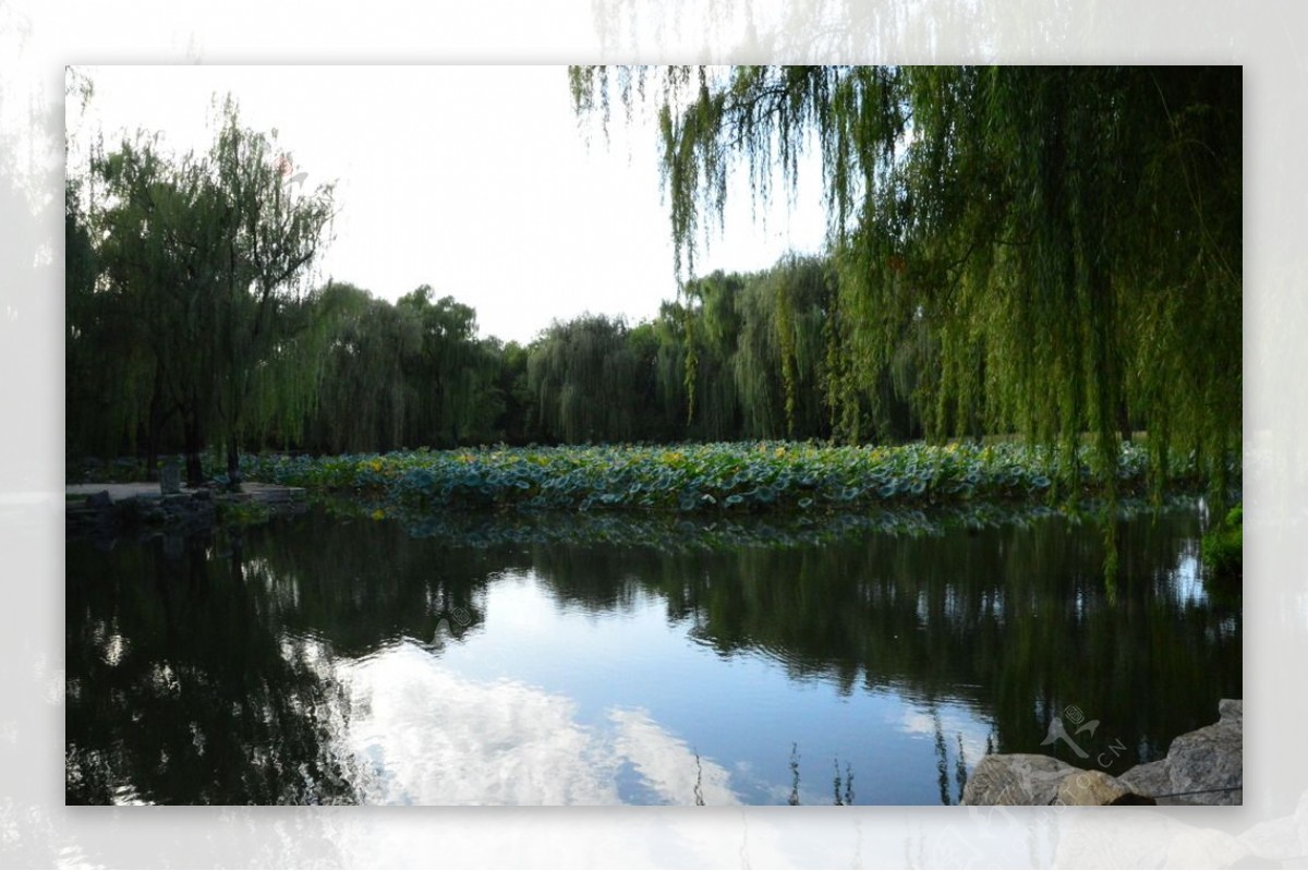 圆明园风景