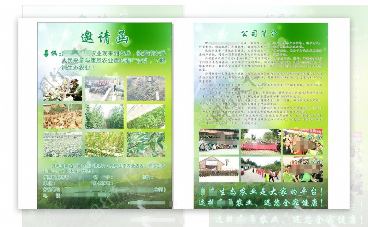 DM单生态农业宣传单