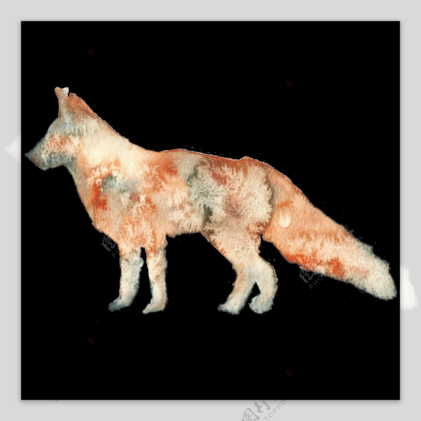 狼狗水彩透明装饰图案