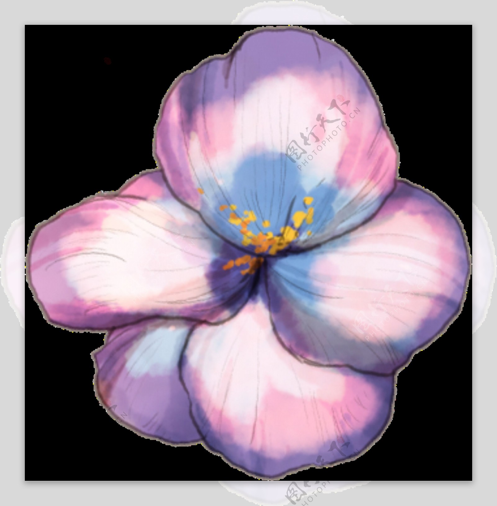 彩色花朵水彩透明装饰图案