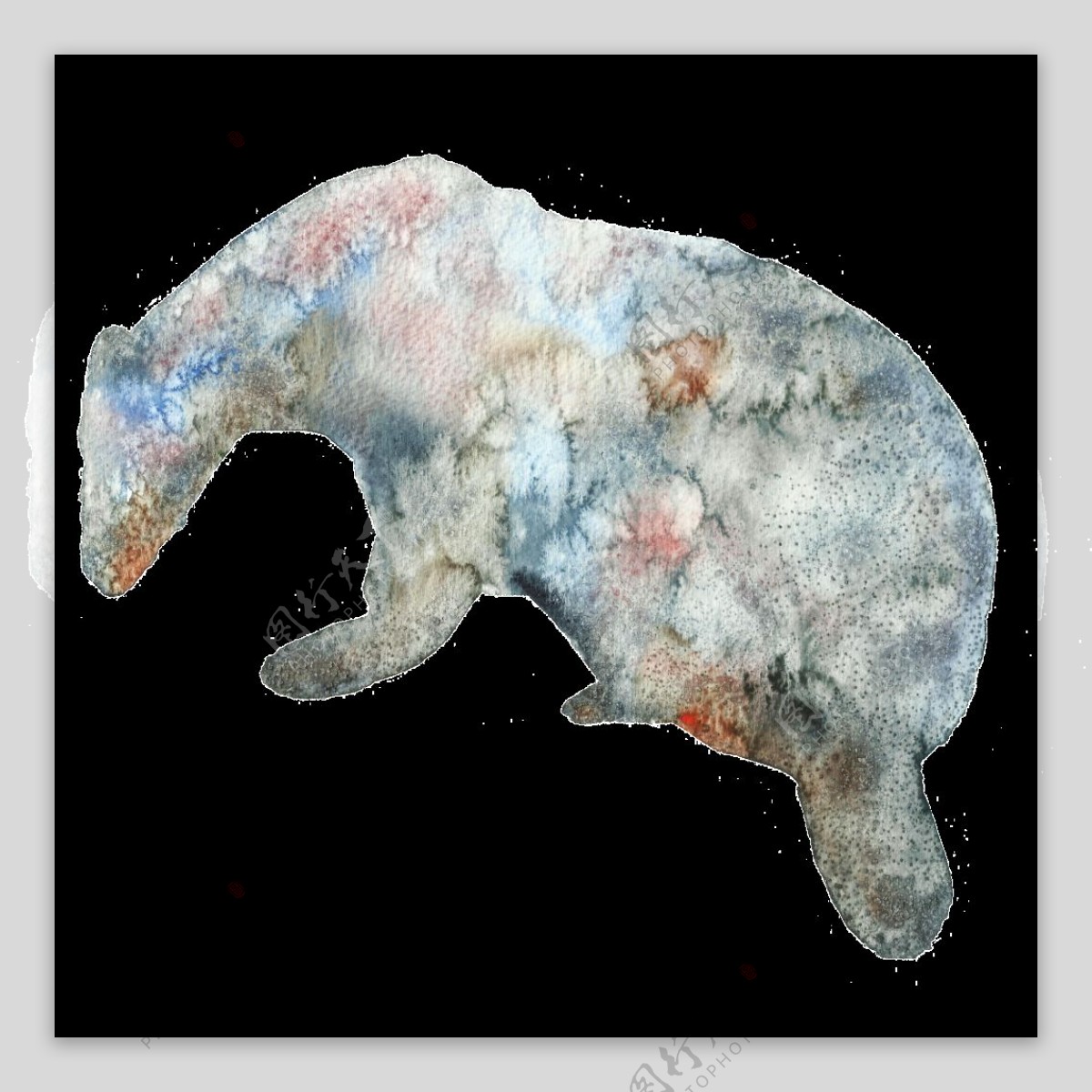 手绘水彩北极熊透明装饰图案