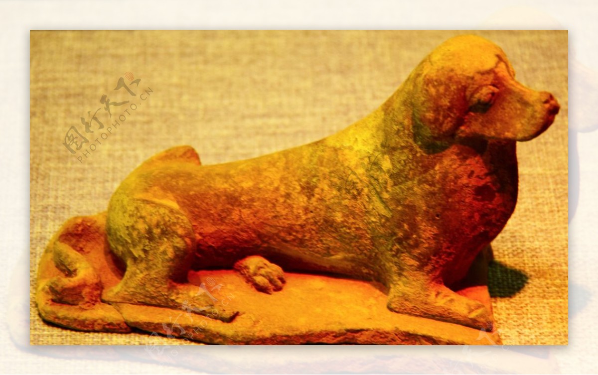 陶瓷狗雕塑摄影