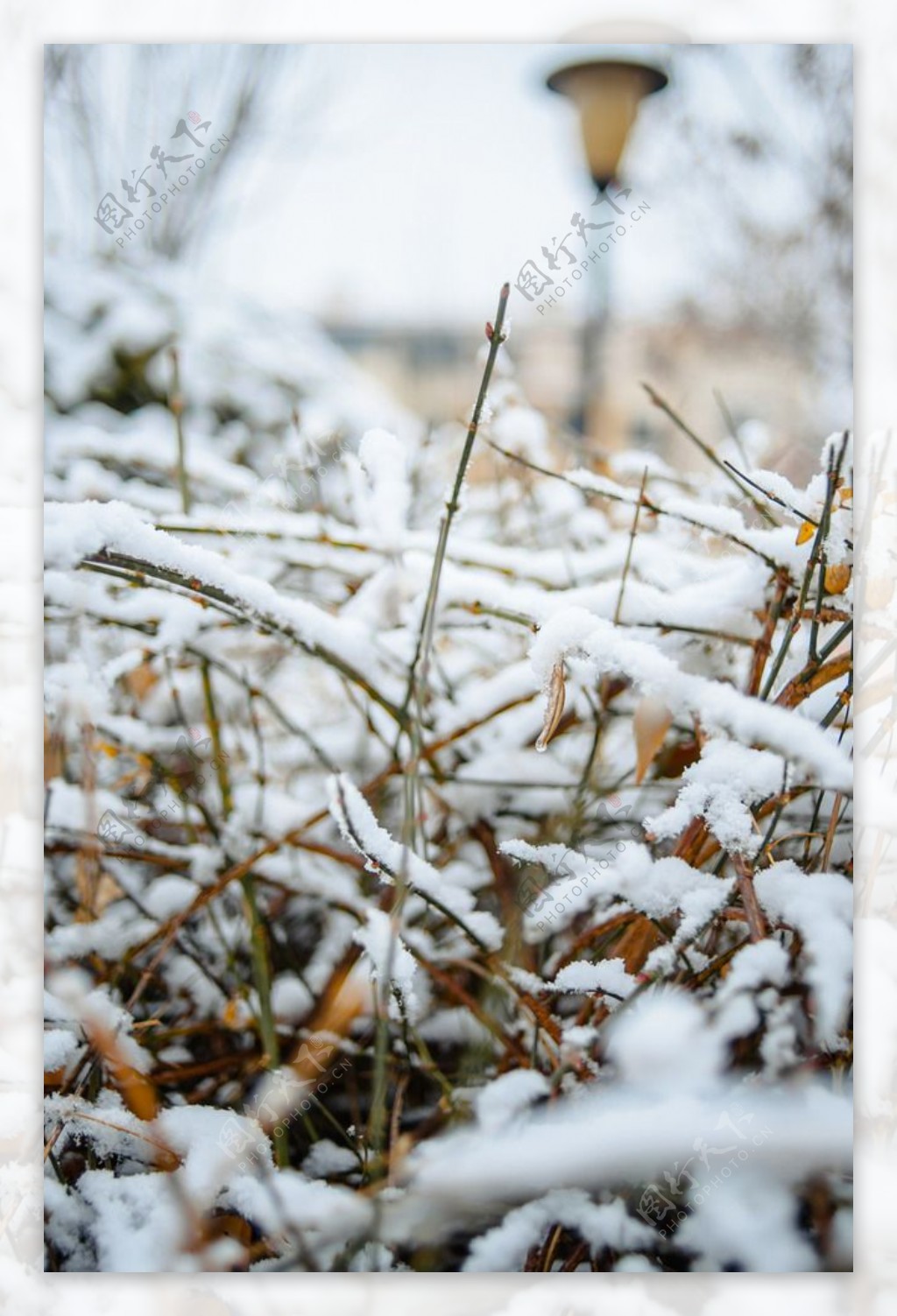 雪后初晴