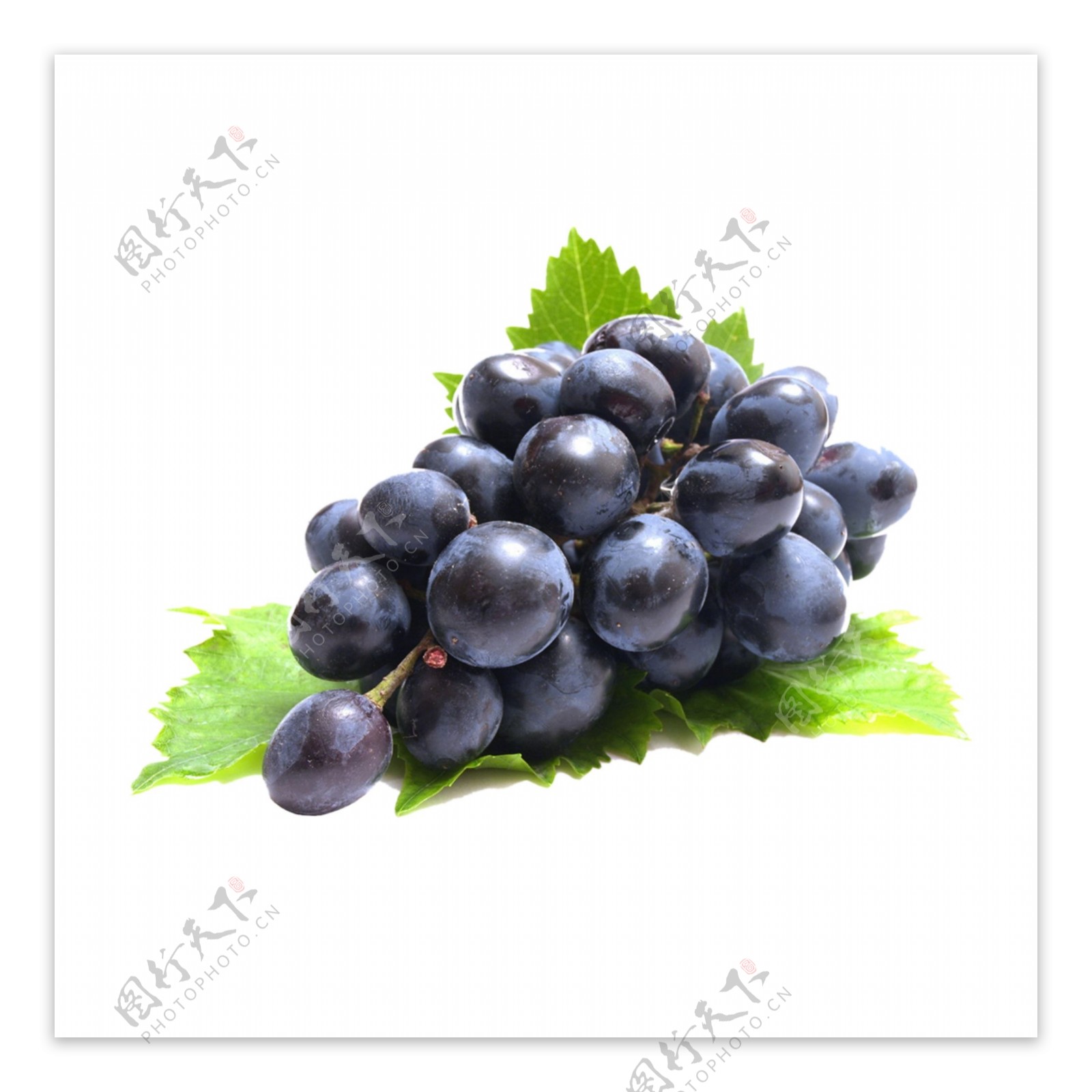 绿色水果葡萄季节美味食物