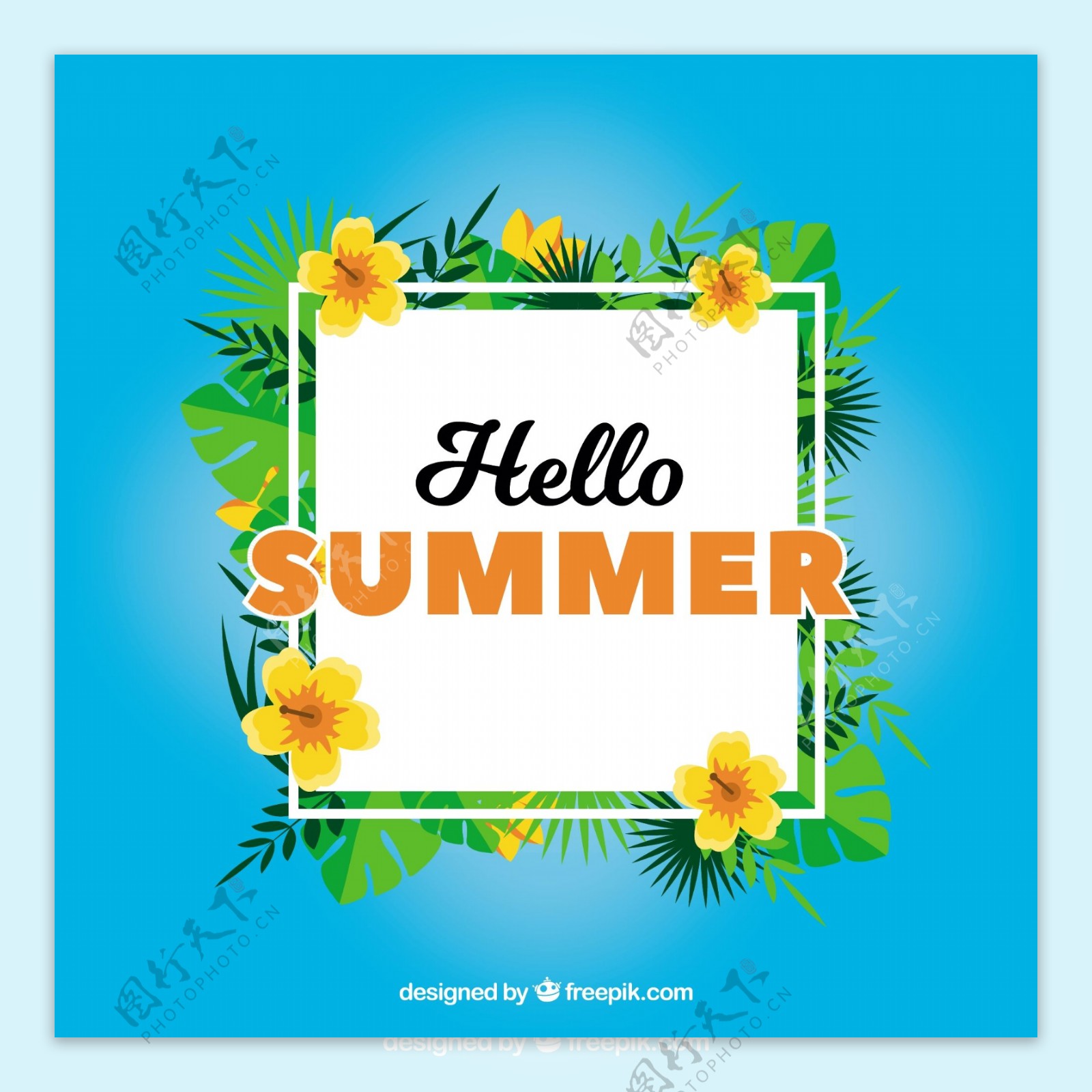 夏天蓝色框背景用鲜花和棕榈叶