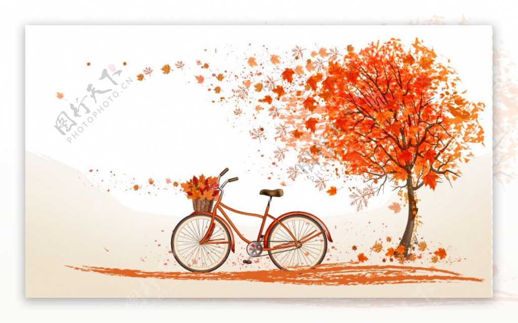 秋树落叶下的自行车