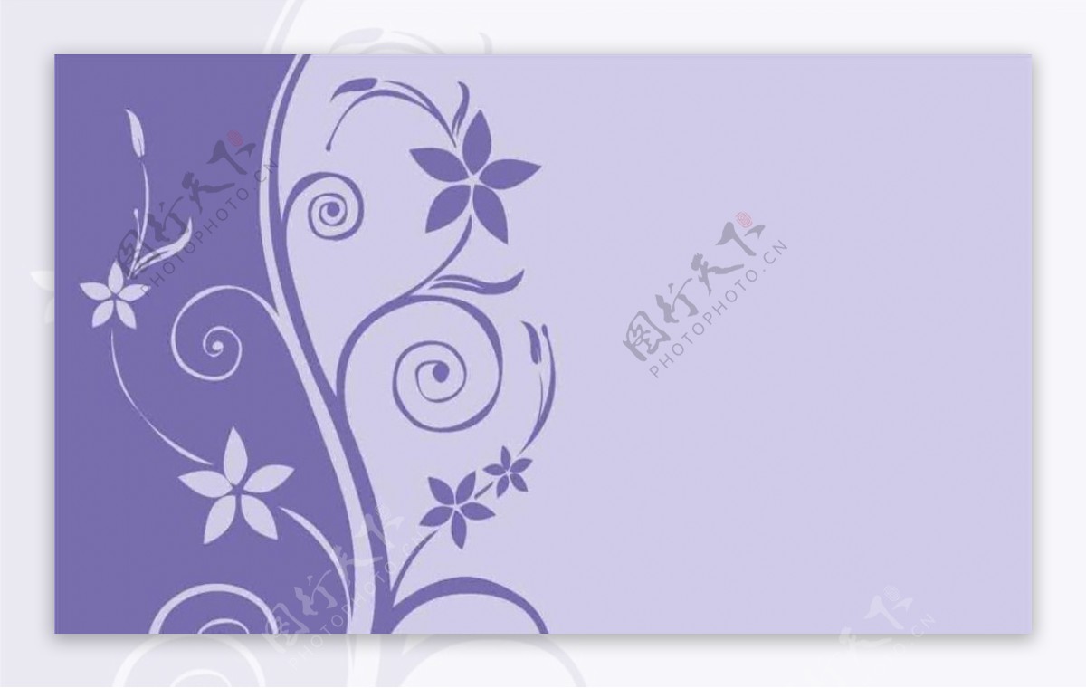 紫色单花