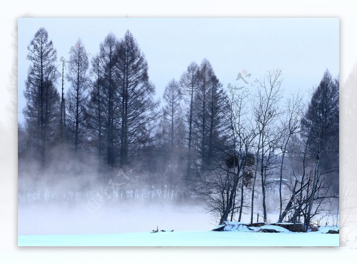 雪景