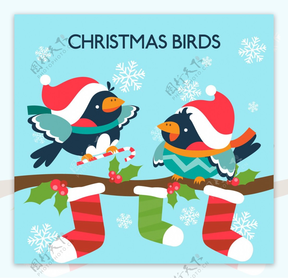 圣诞可爱的鸟卡片