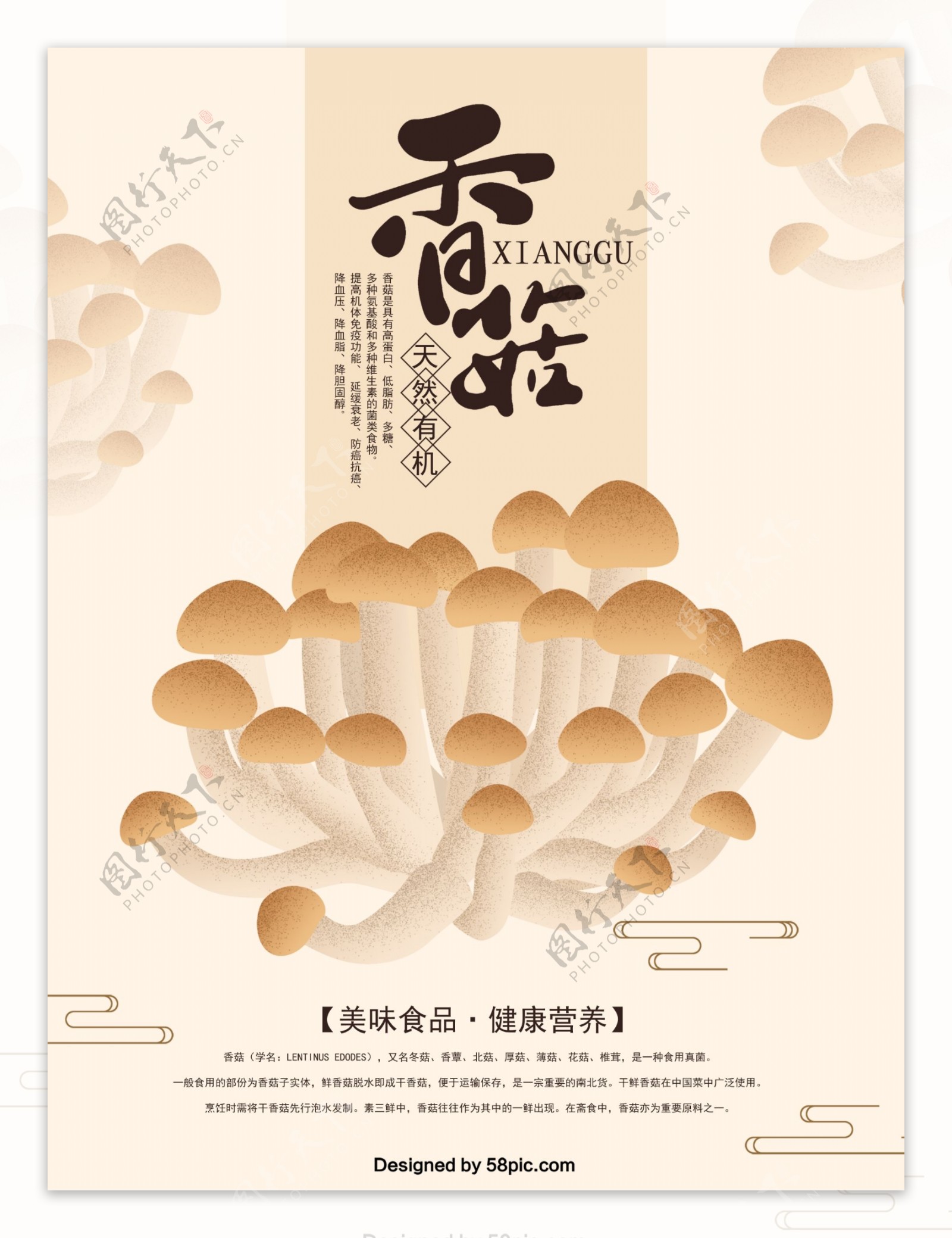 美味香菇原创美食手绘海报