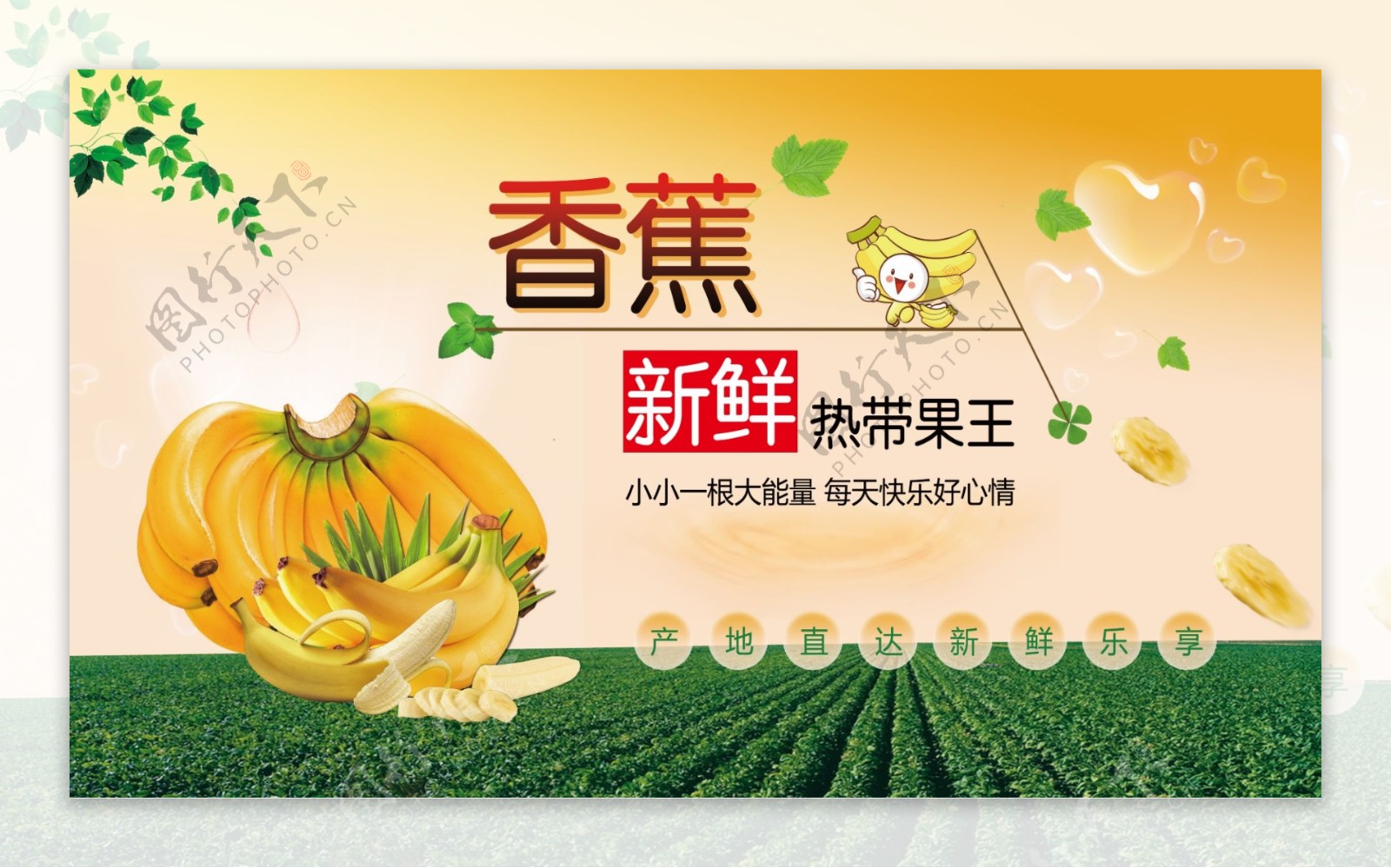香蕉新鲜热带果王美食海报