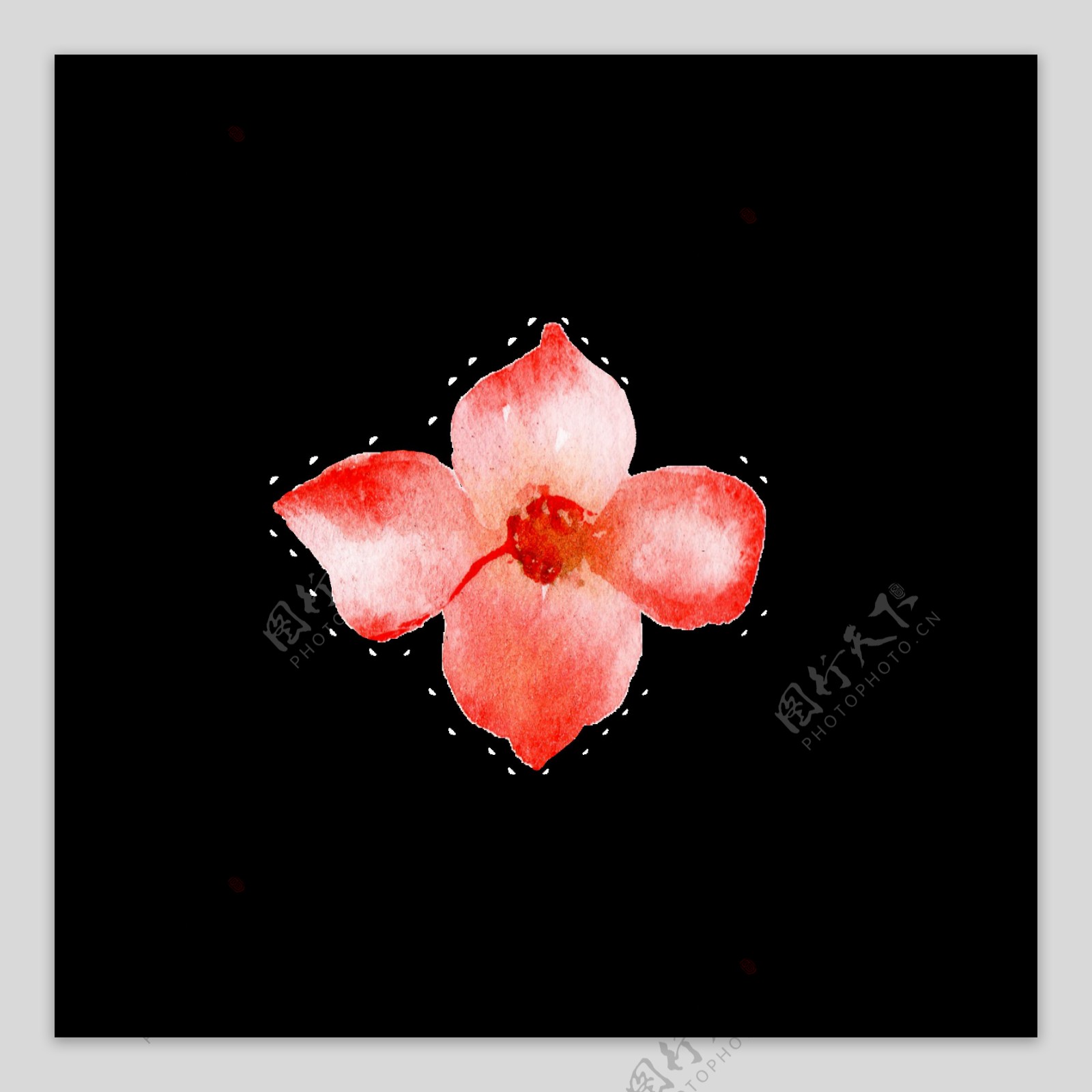 红色水彩手绘花朵透明素材