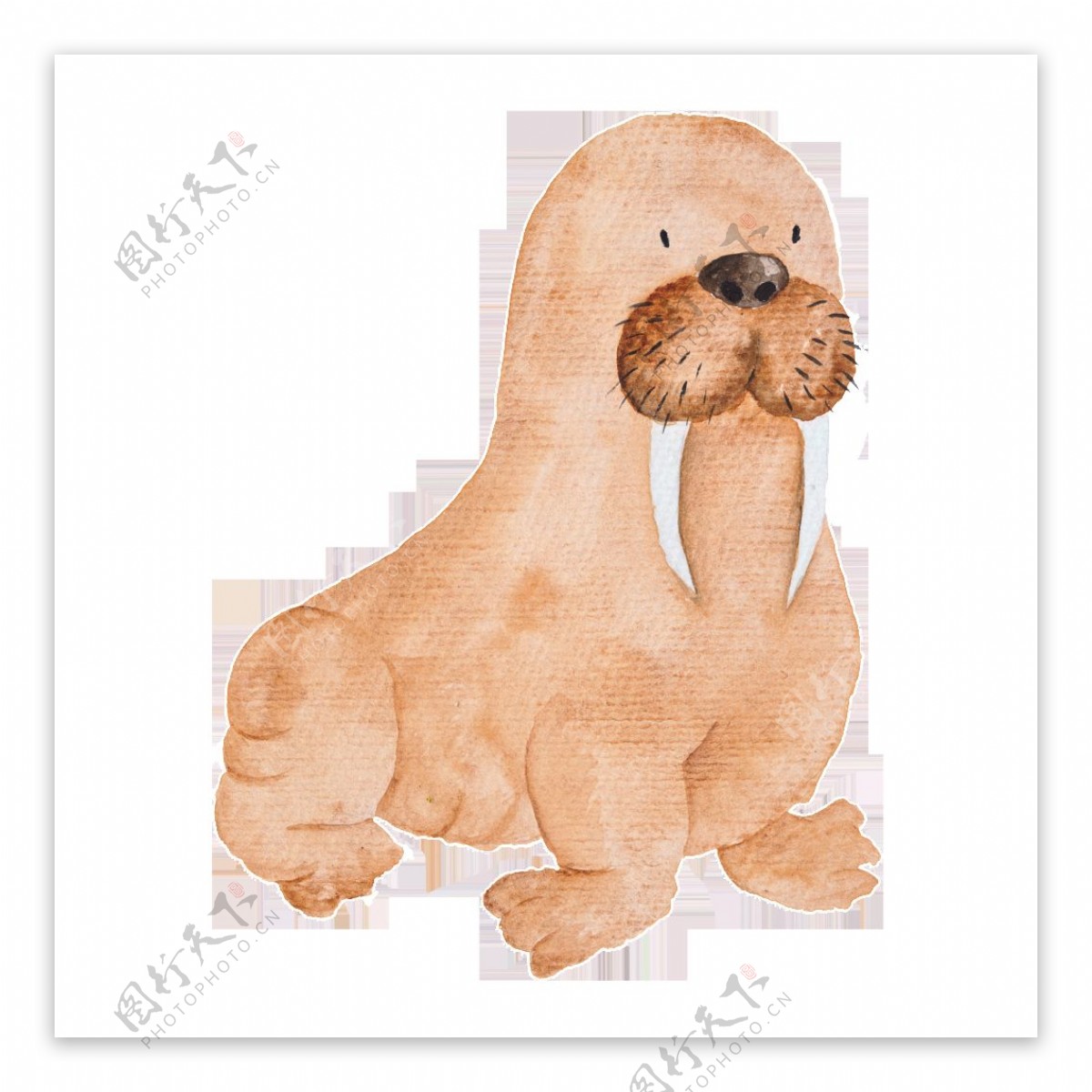 棕色手绘海象卡通水彩素
