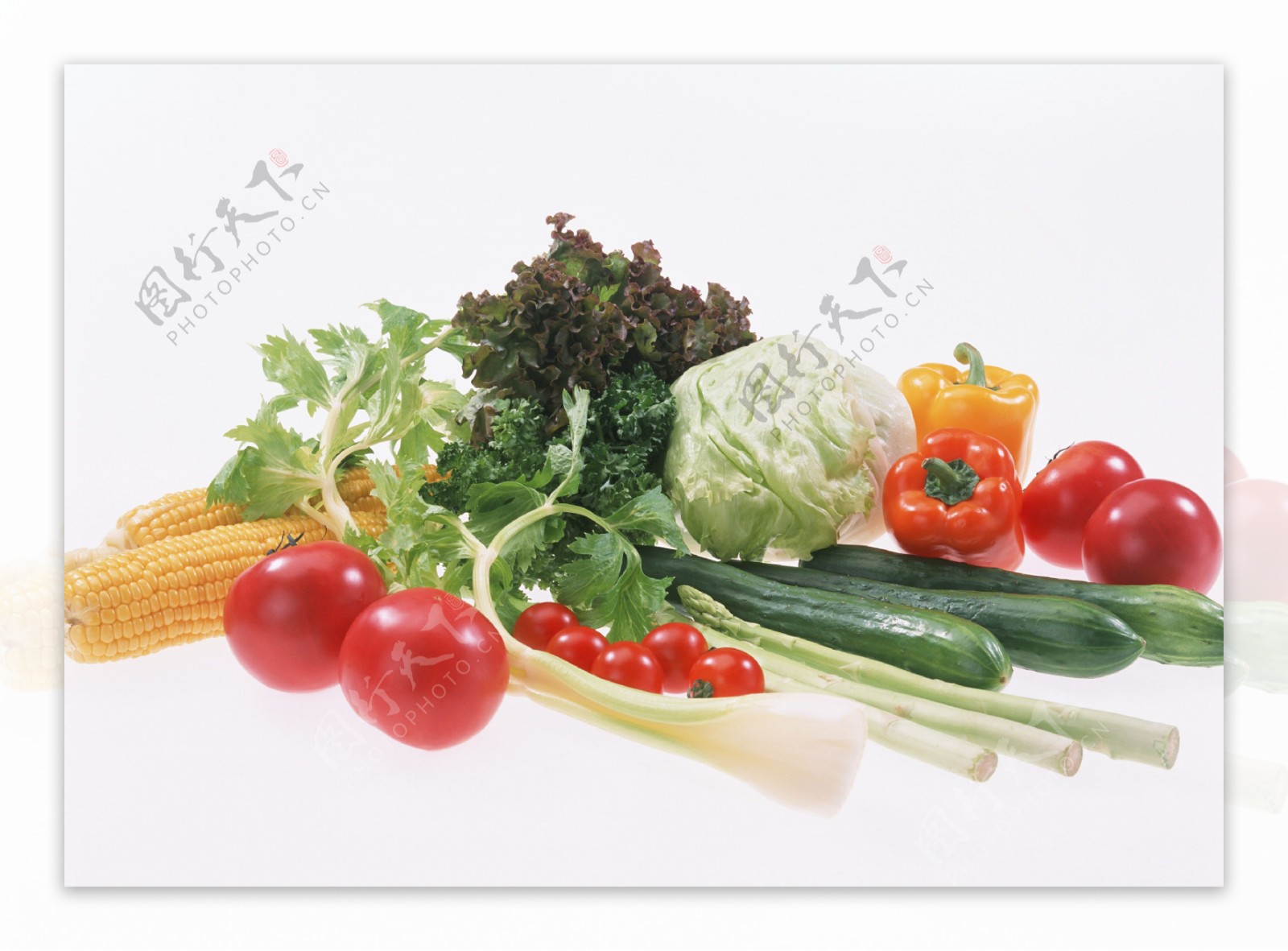 绿叶蔬菜图片大全-绿叶蔬菜高清图片下载-觅知网