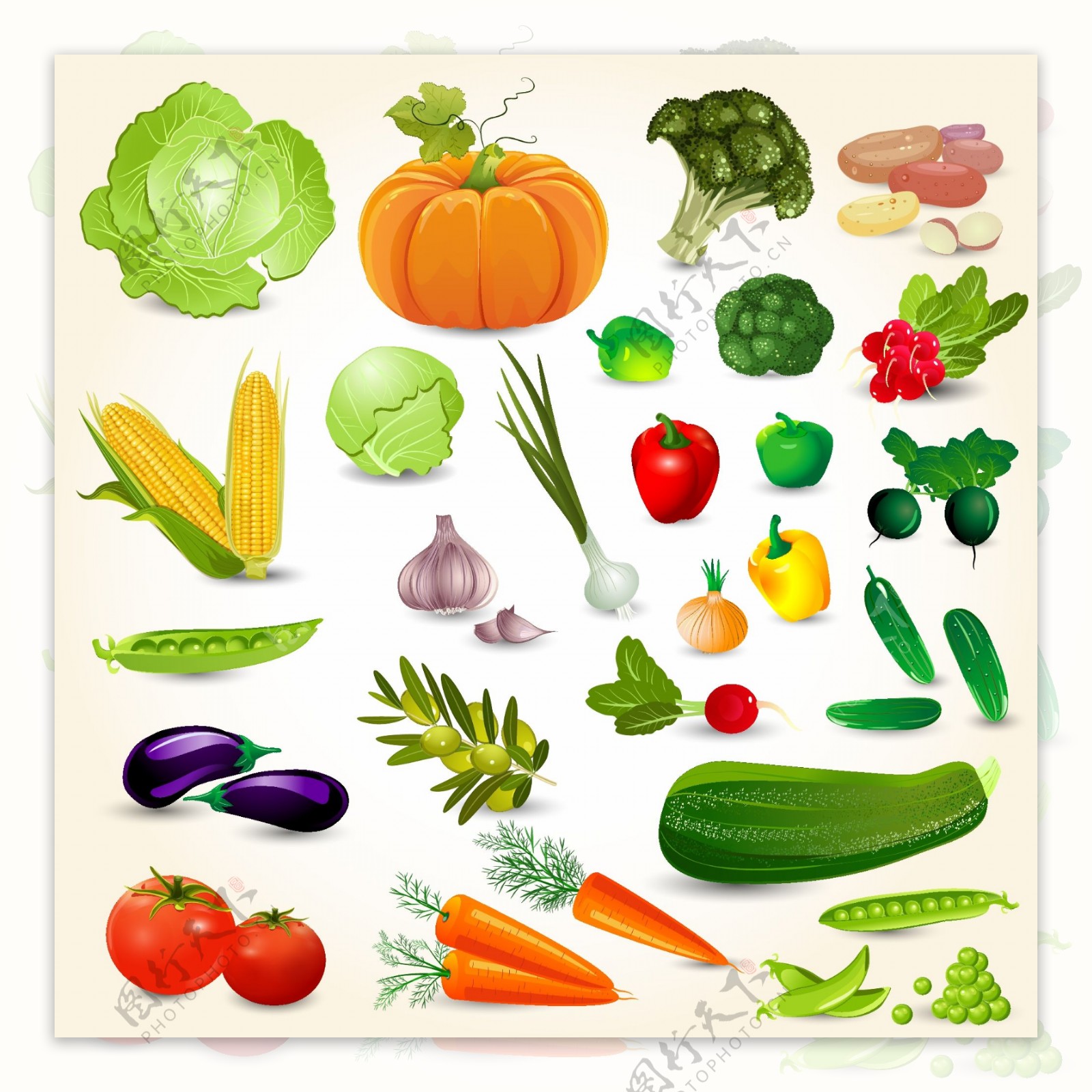 新鲜美味的蔬菜和水果插画