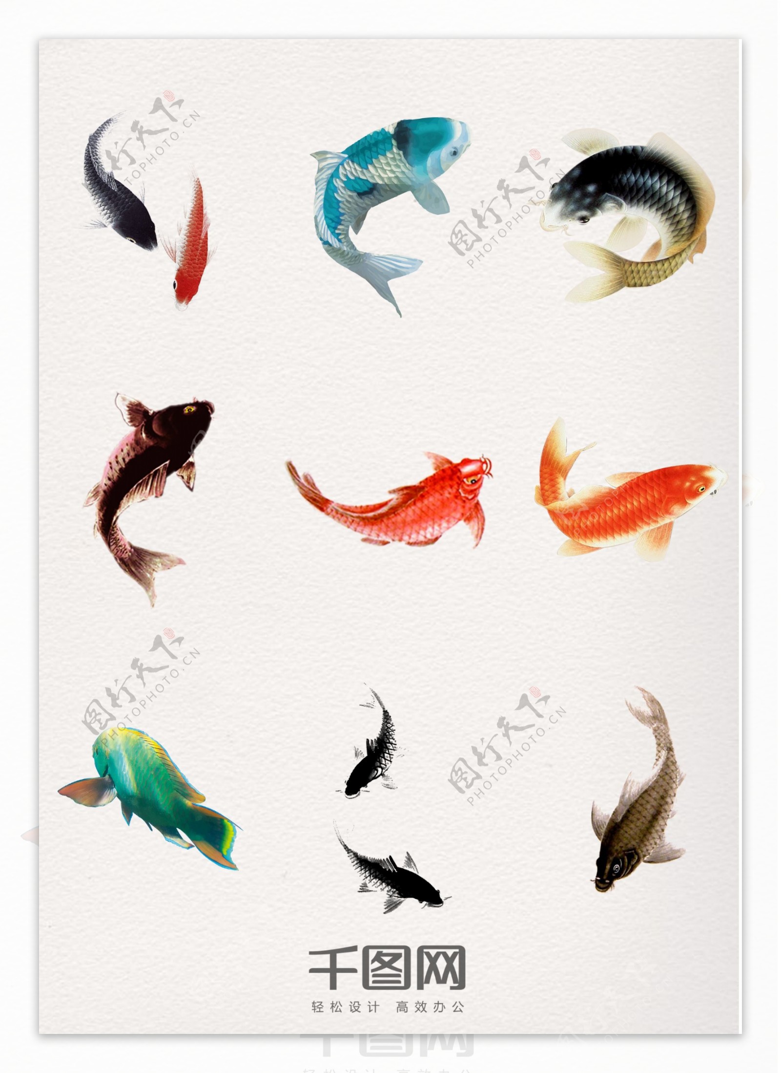 漂亮多彩手绘水墨中国风鲤鱼