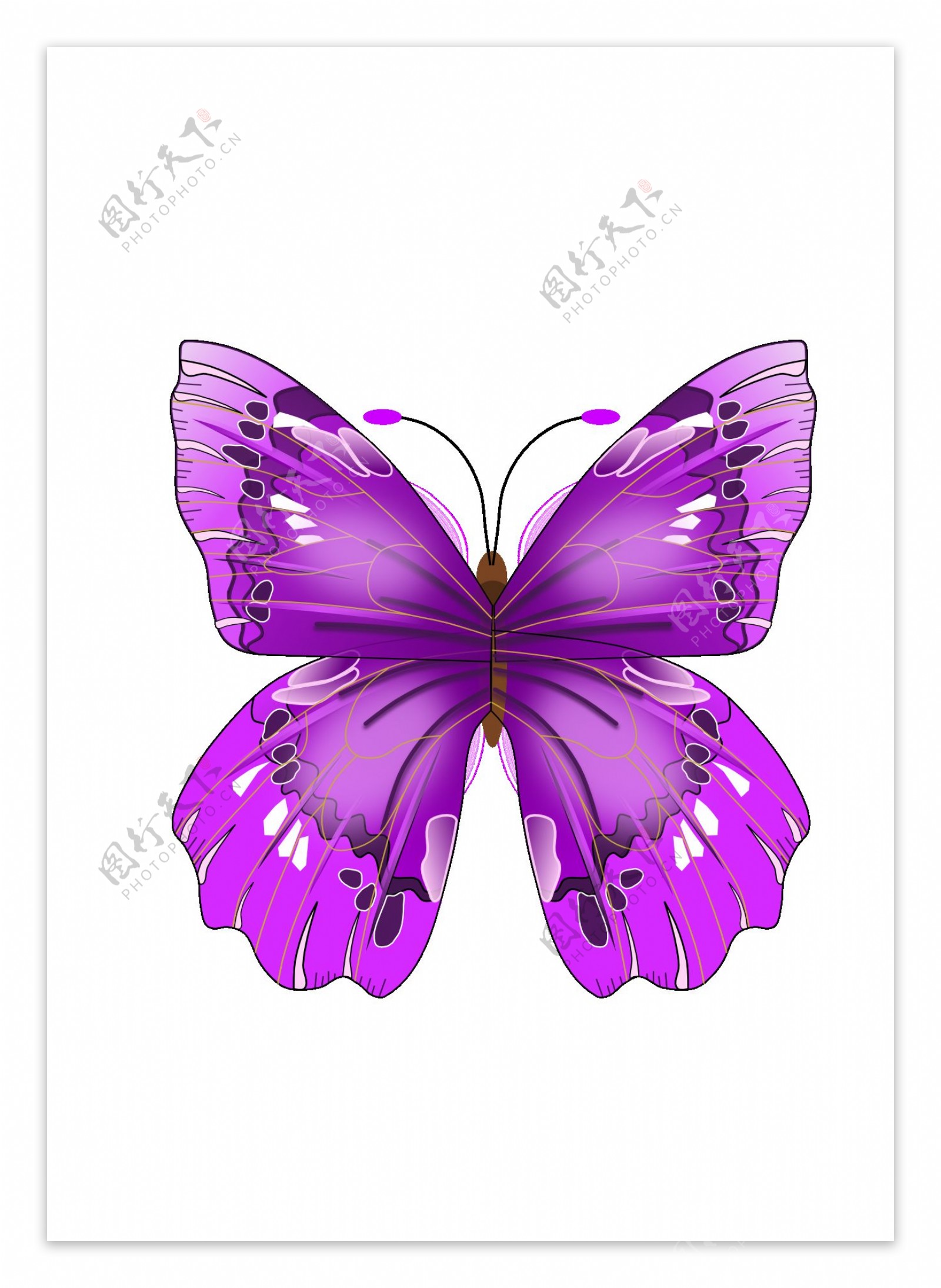 手绘紫色蝴蝶免抠png透明图层素材