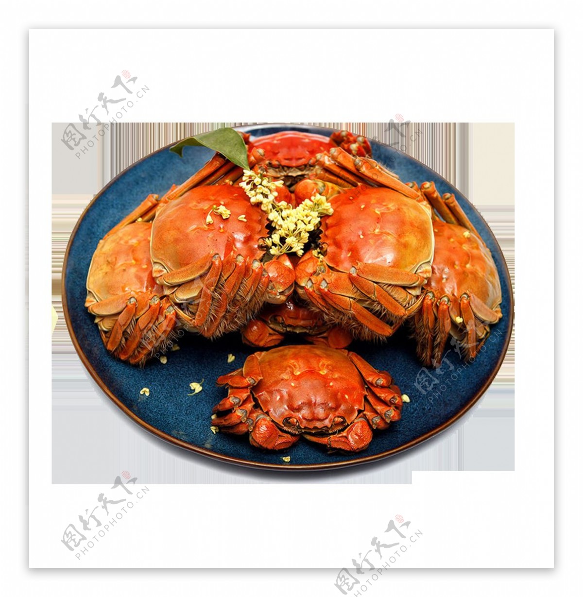 食品美味螃蟹元素