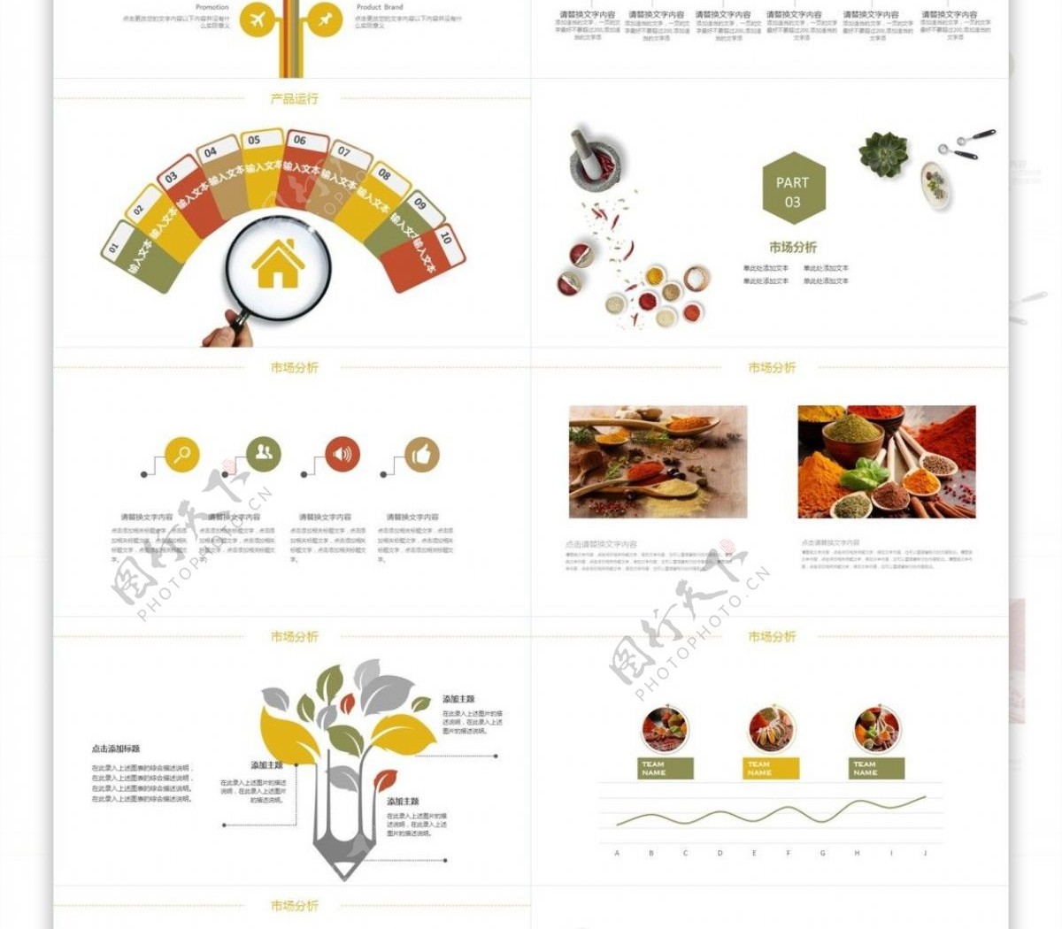 绿色天然食品健康美食调料PPT模板