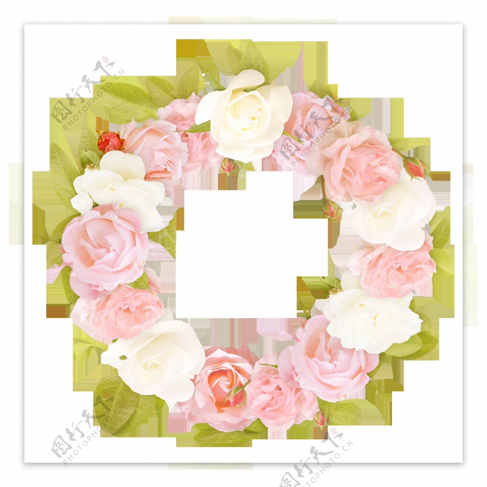 粉色花朵系列PNG相框素材