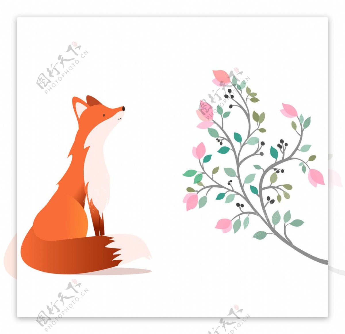 狐狸与树