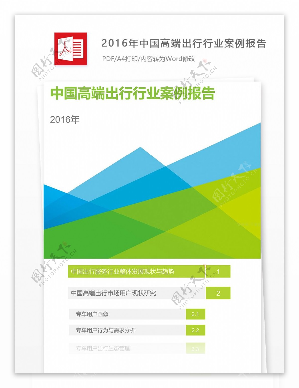 2016年中国高端出行行业案例报告