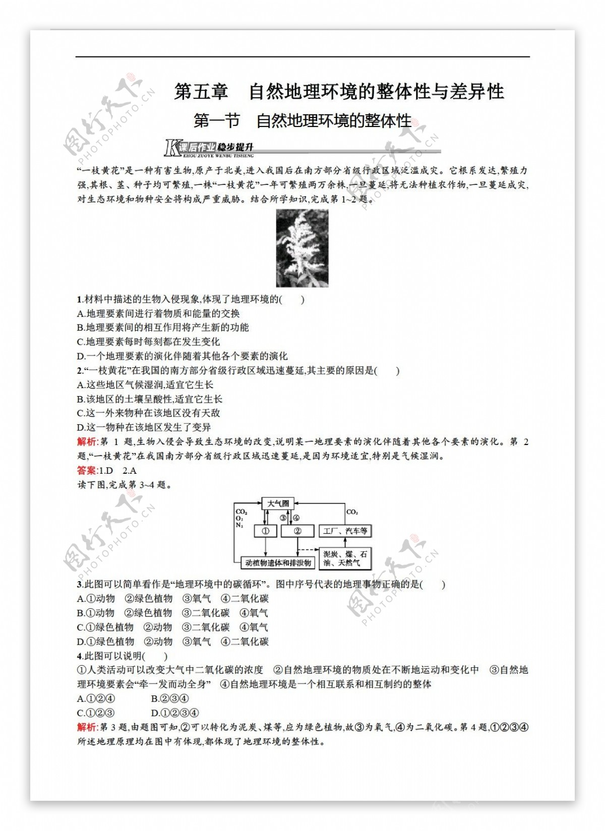 地理人教版必修新课标5.1自然环境的整体性同步练习