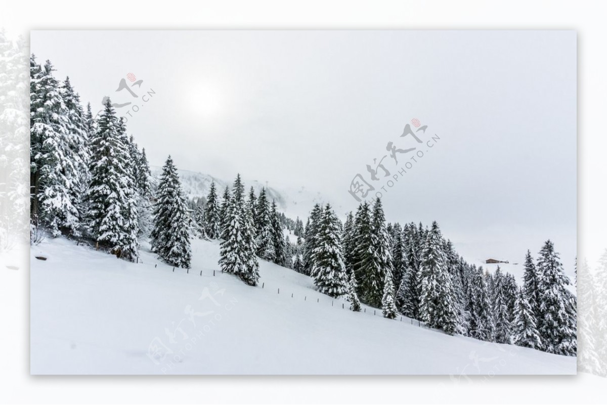 冬天雪景摄影