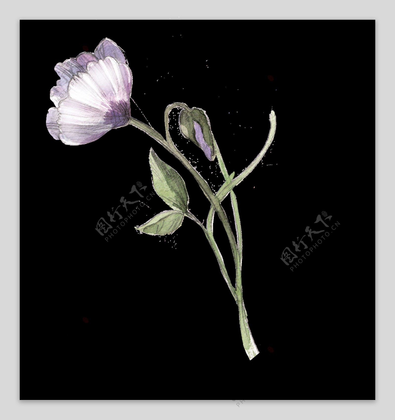 蝴蝶紫花卡通透明素材