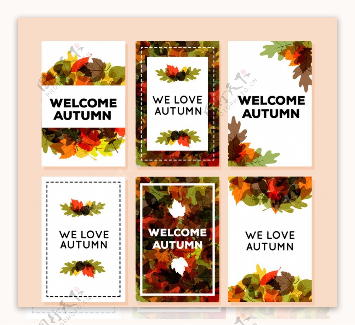 6款彩色秋季落叶卡片矢量素材