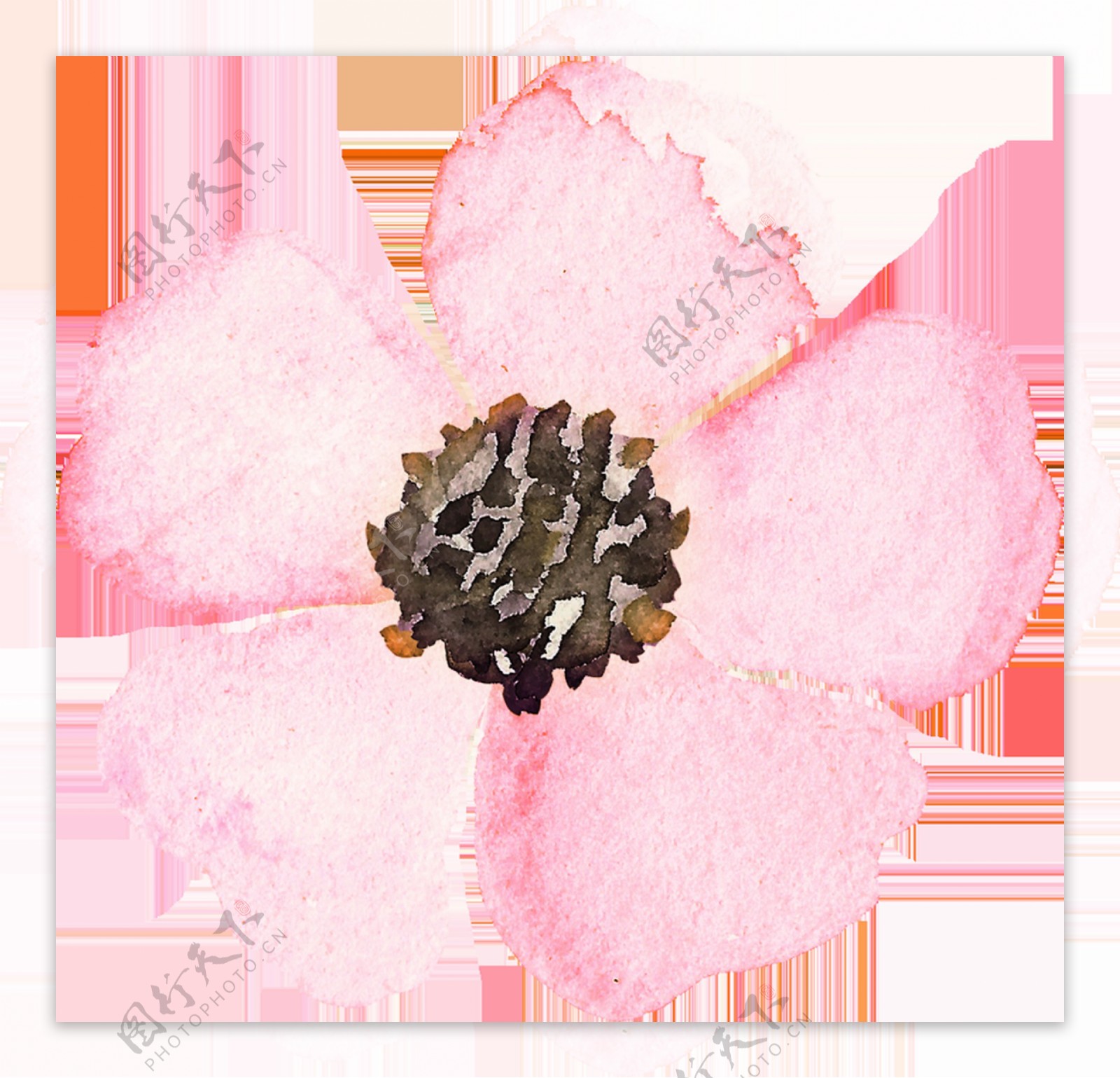 粉色优雅花卉卡通透明装饰素材