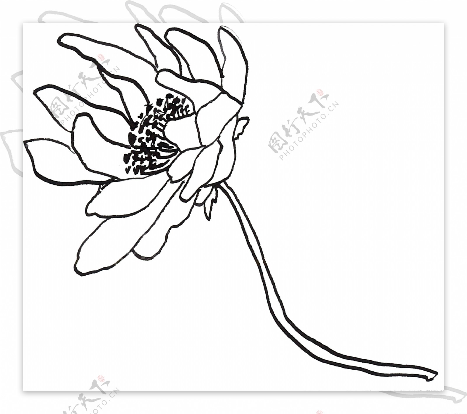 迎风飞舞花卉卡通水彩透明素材