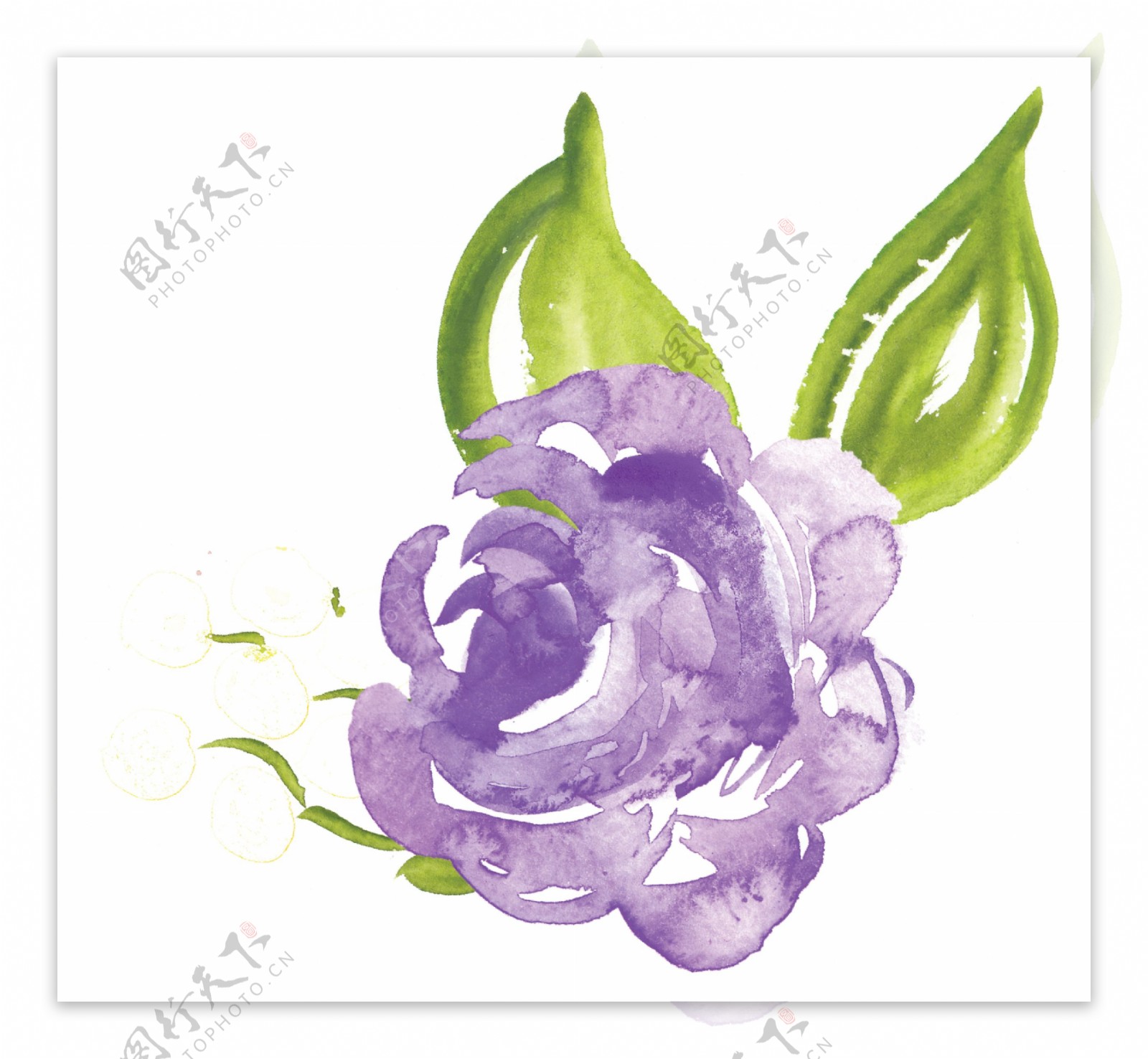紫色迷人花卉透明素材