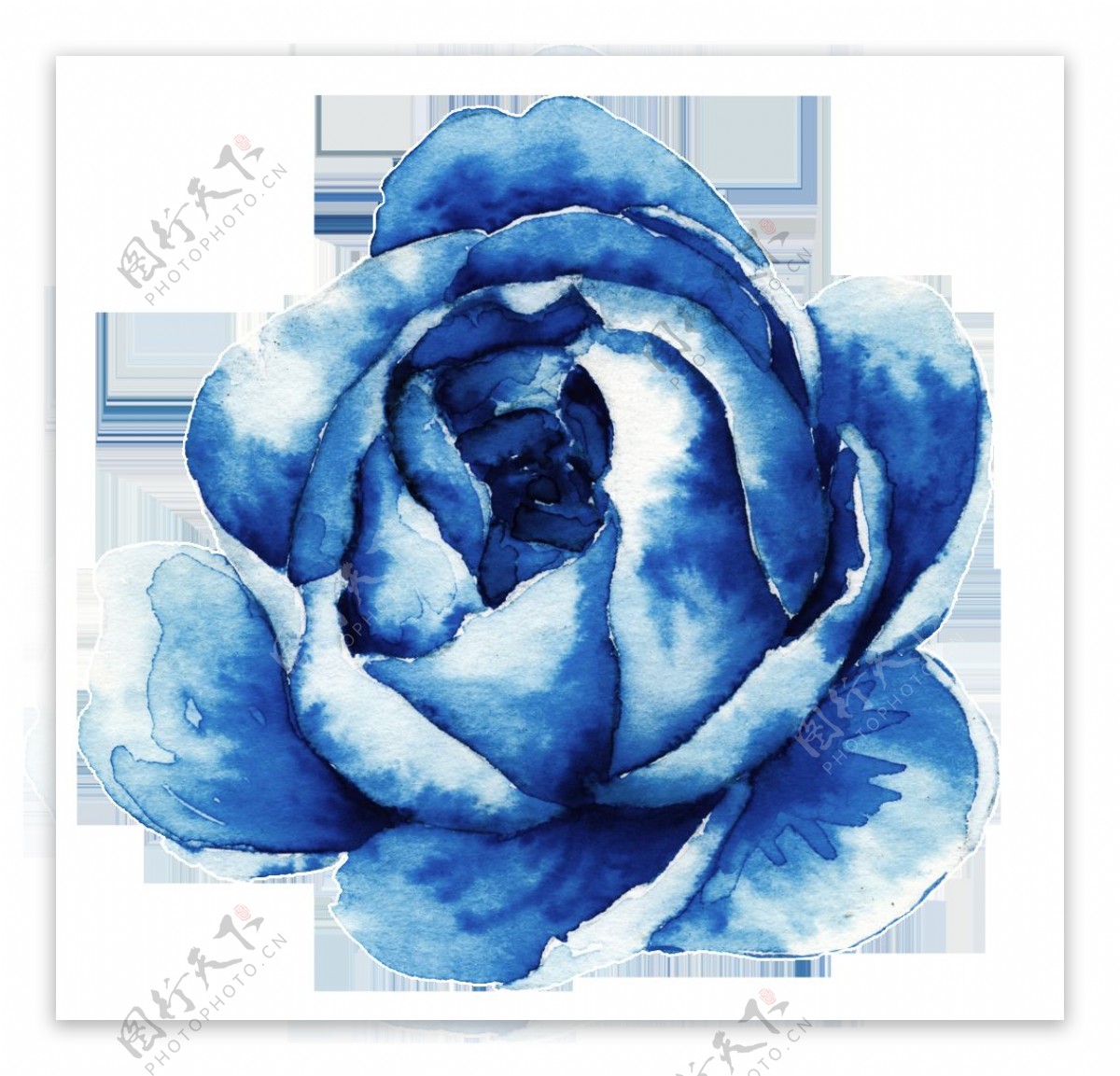 蓝色时尚玫瑰花卡通透明素材