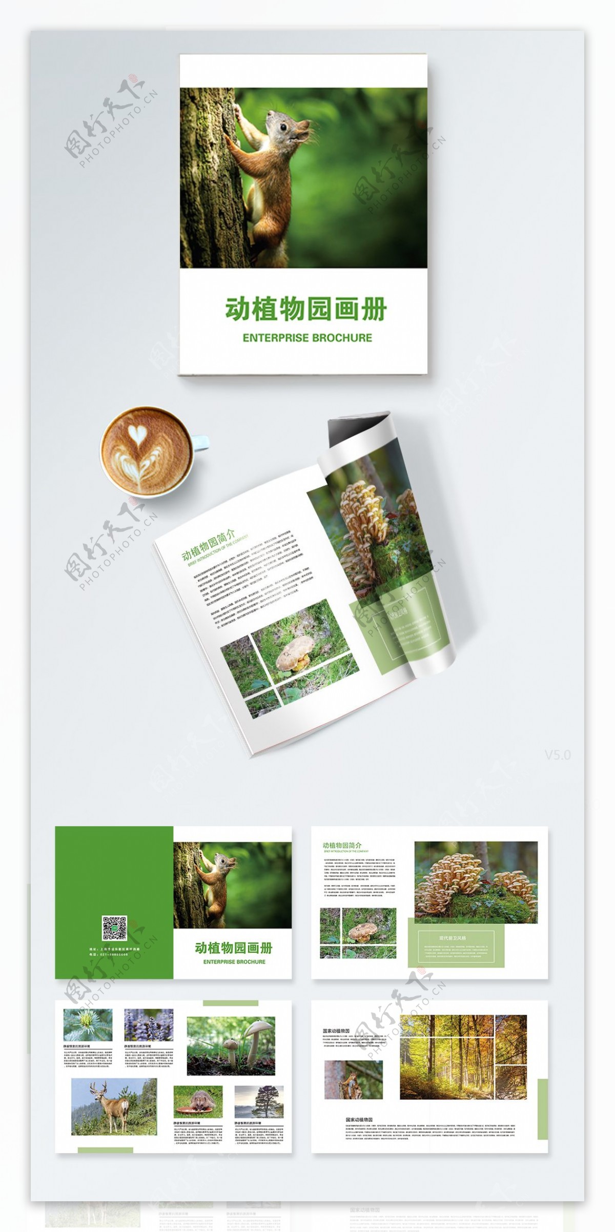 简约绿色动植物园宣传画册设计PSD模板