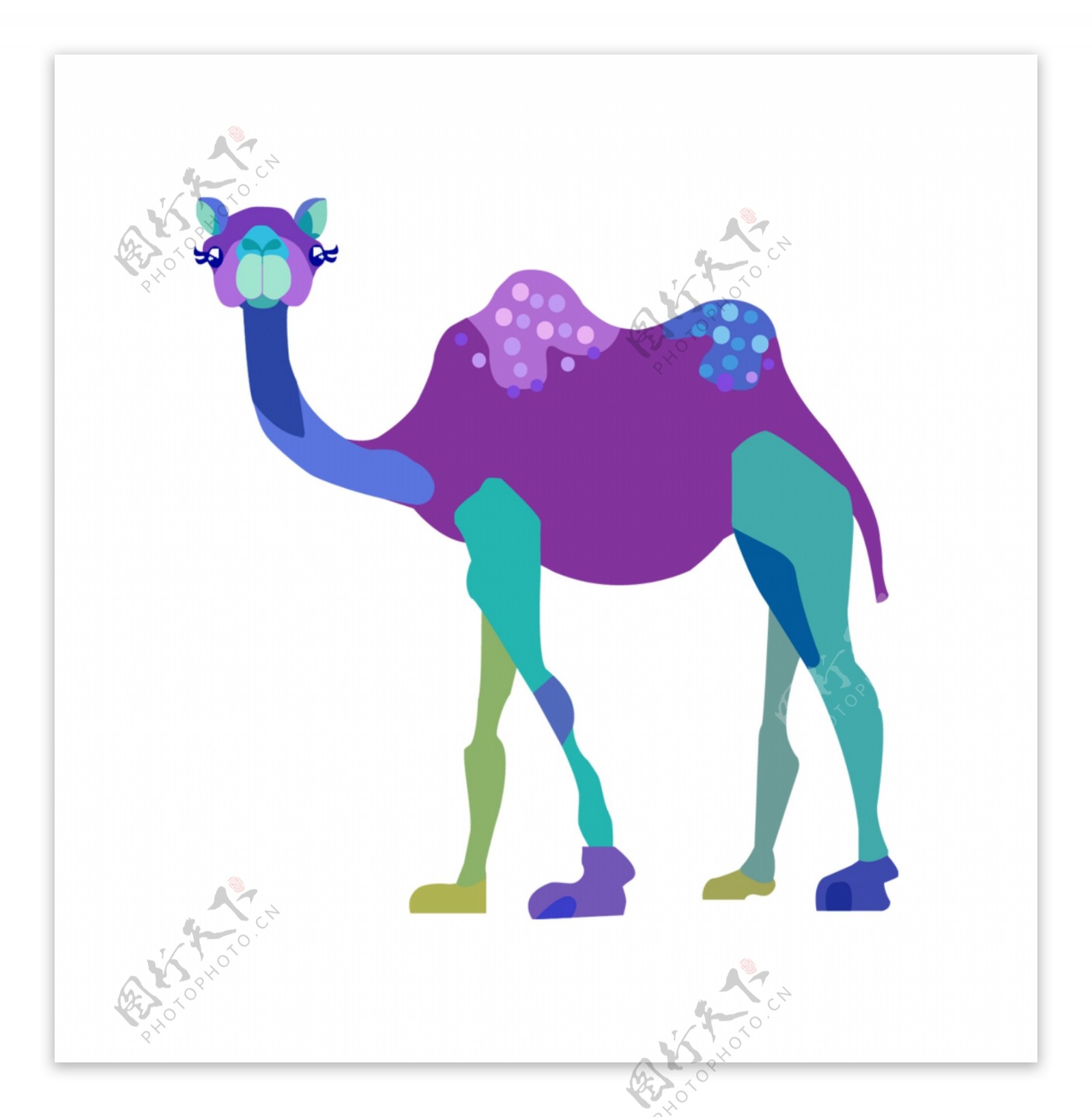 彩色骆驼图案