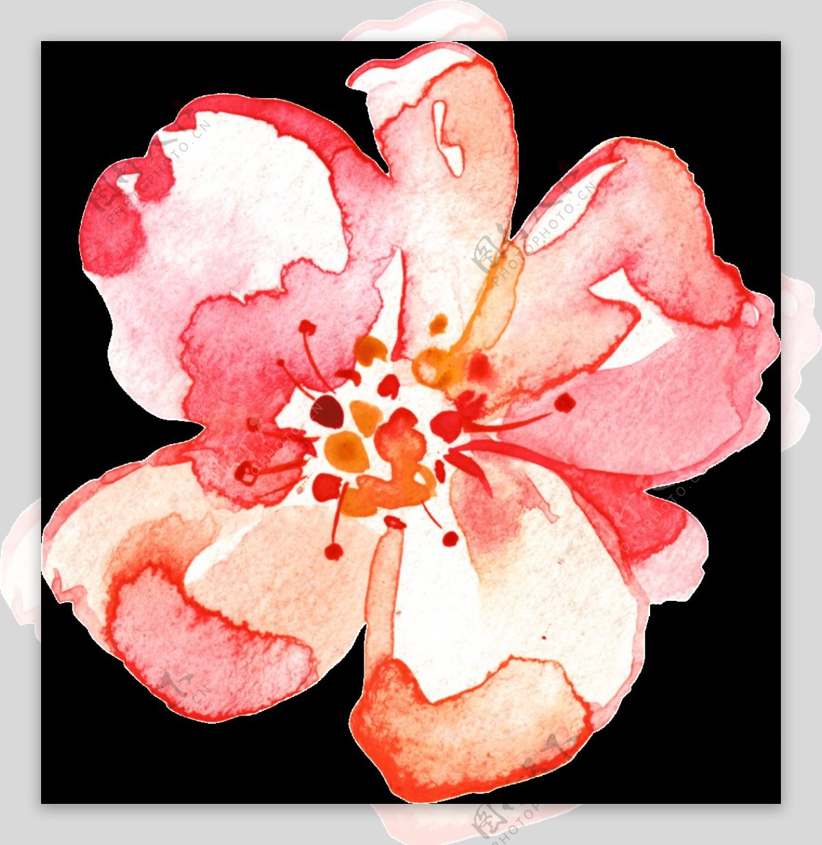 手绘水彩墨迹风格花朵png透明素材