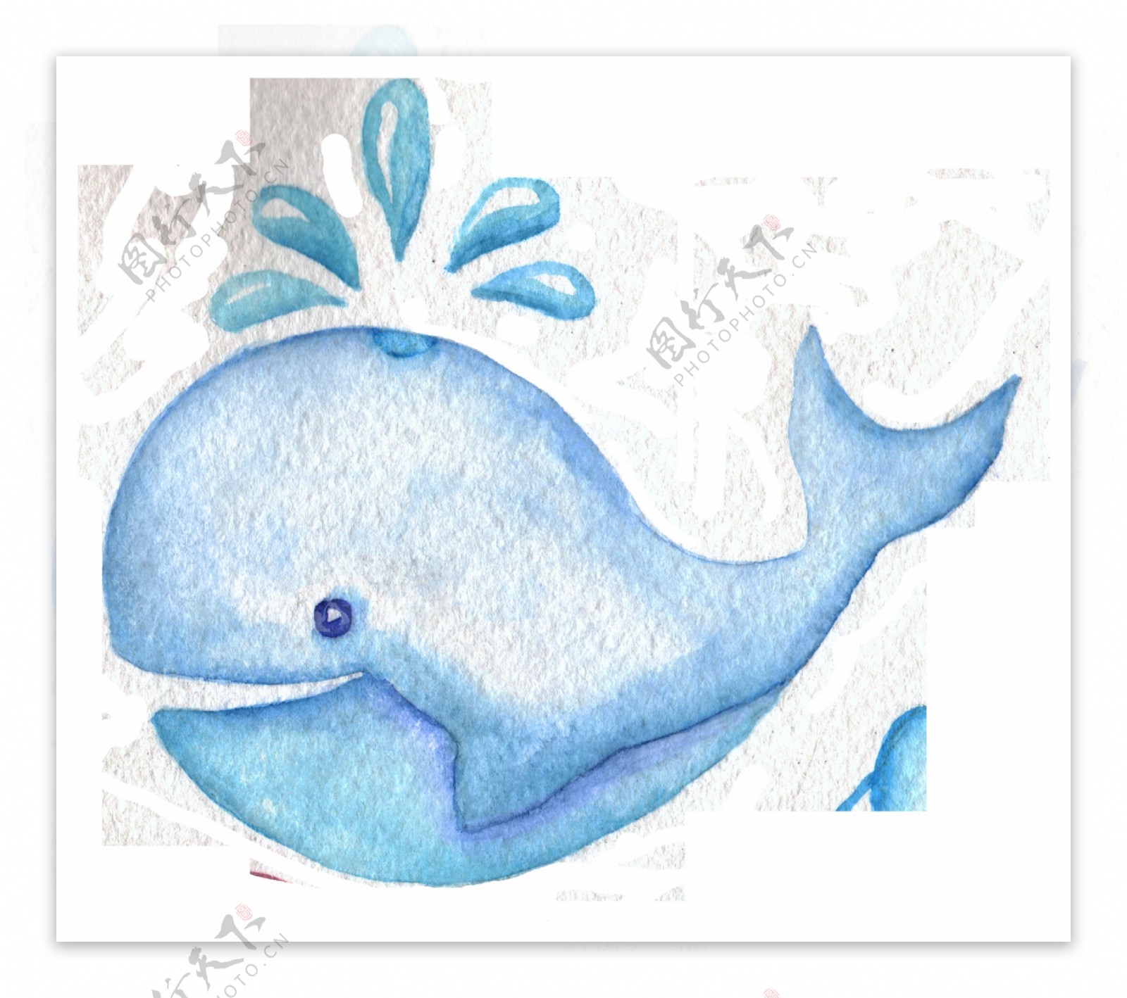 海豚卡通透明素材