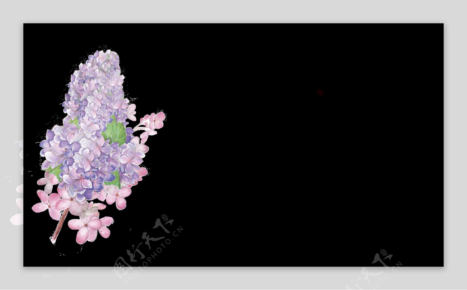 紫花花心透明装饰素材