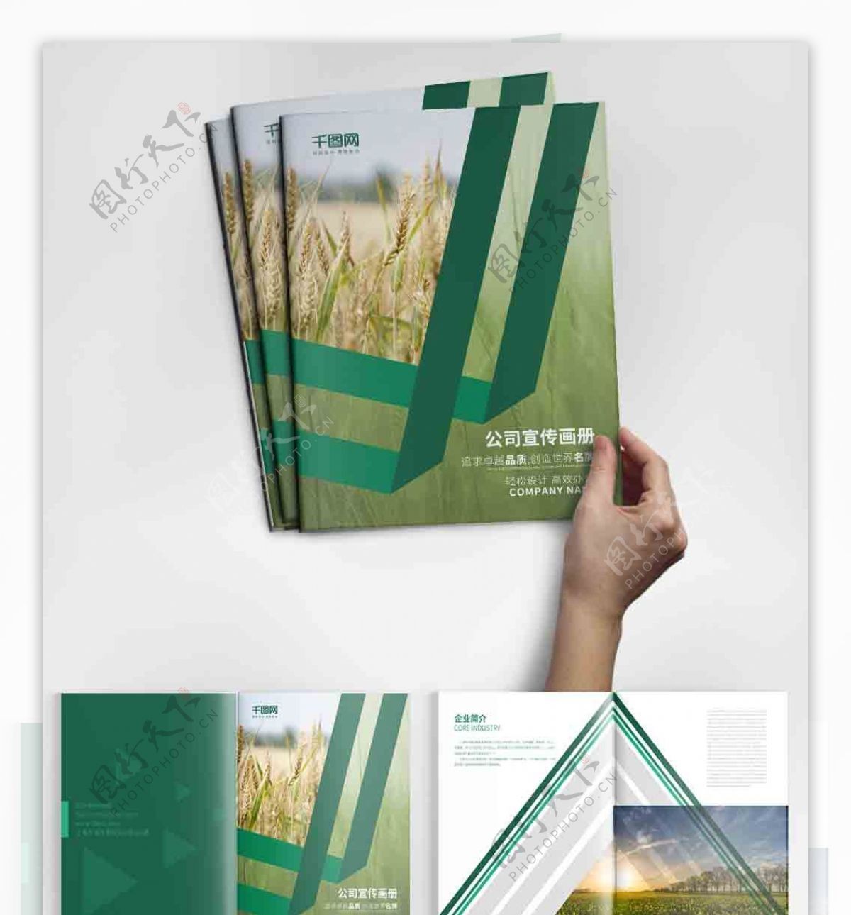 绿色农业宣传画册设计PSD模板