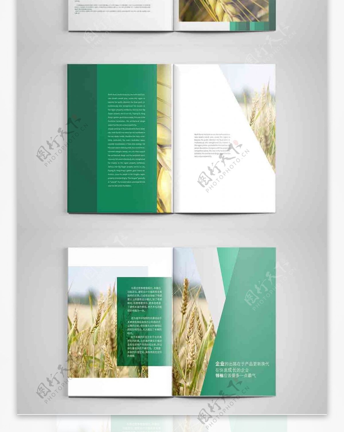 绿色农业宣传画册设计PSD模板