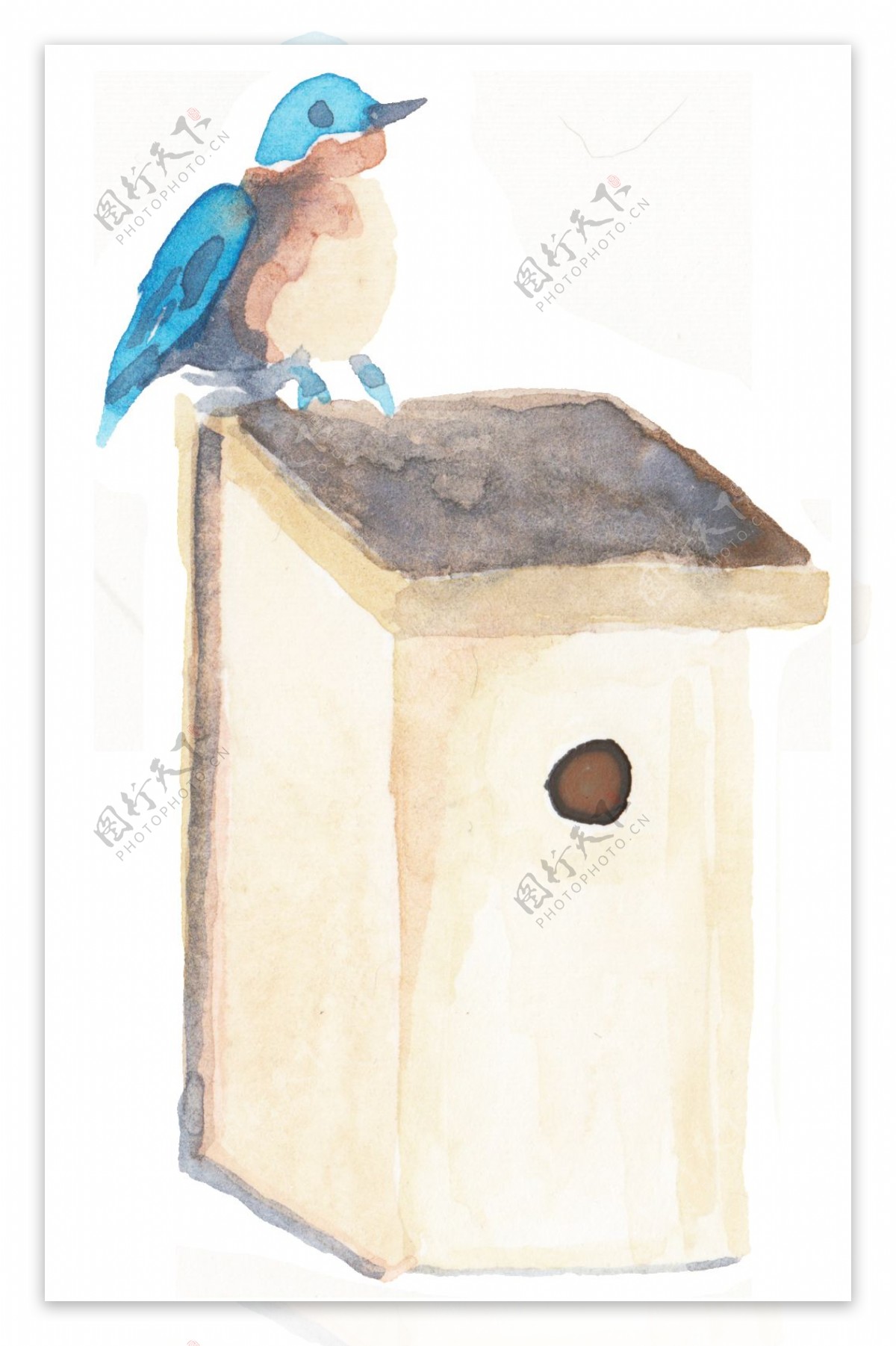 晶蓝小鸟透明装饰素材