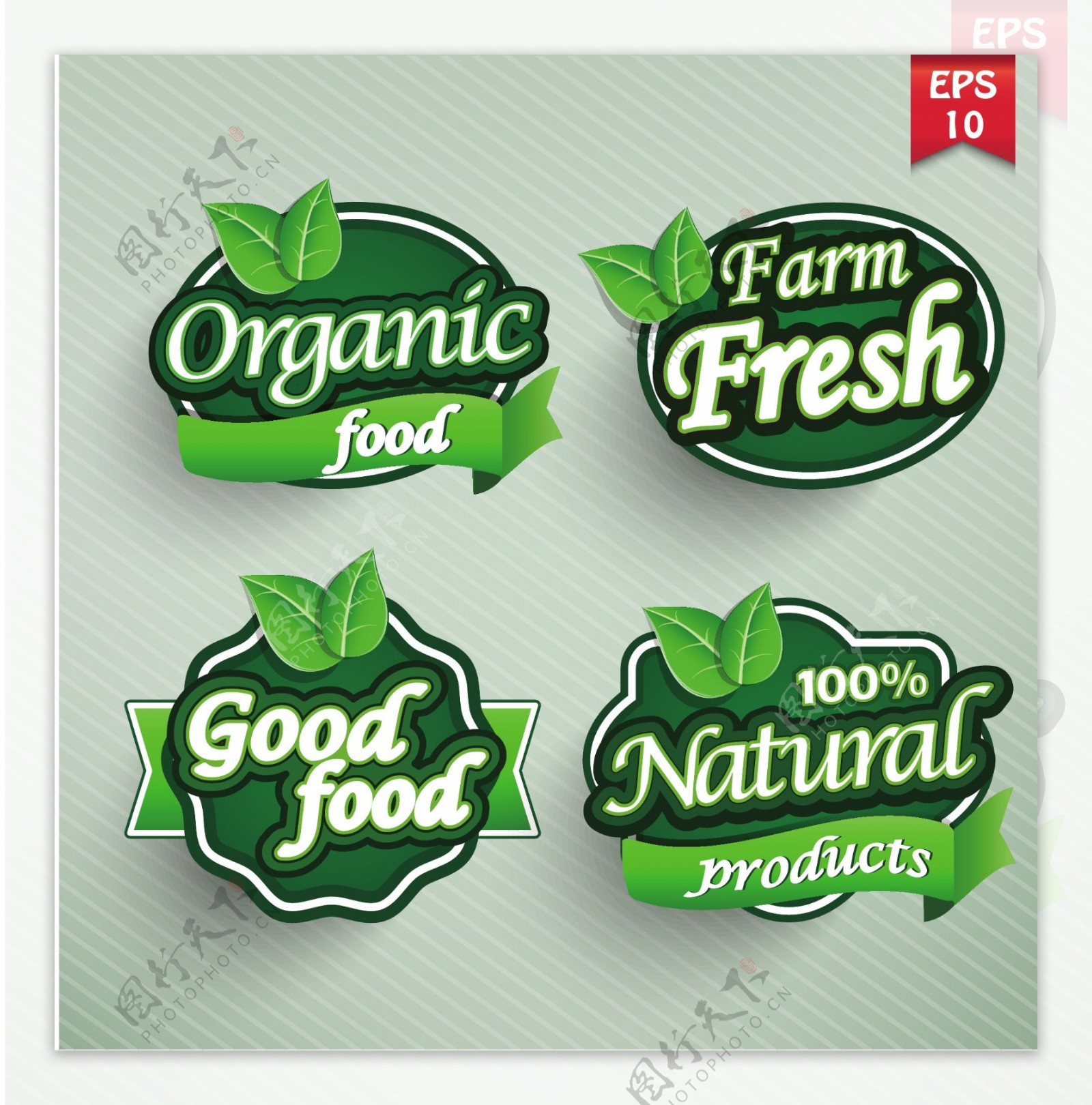 绿色食物标签设计
