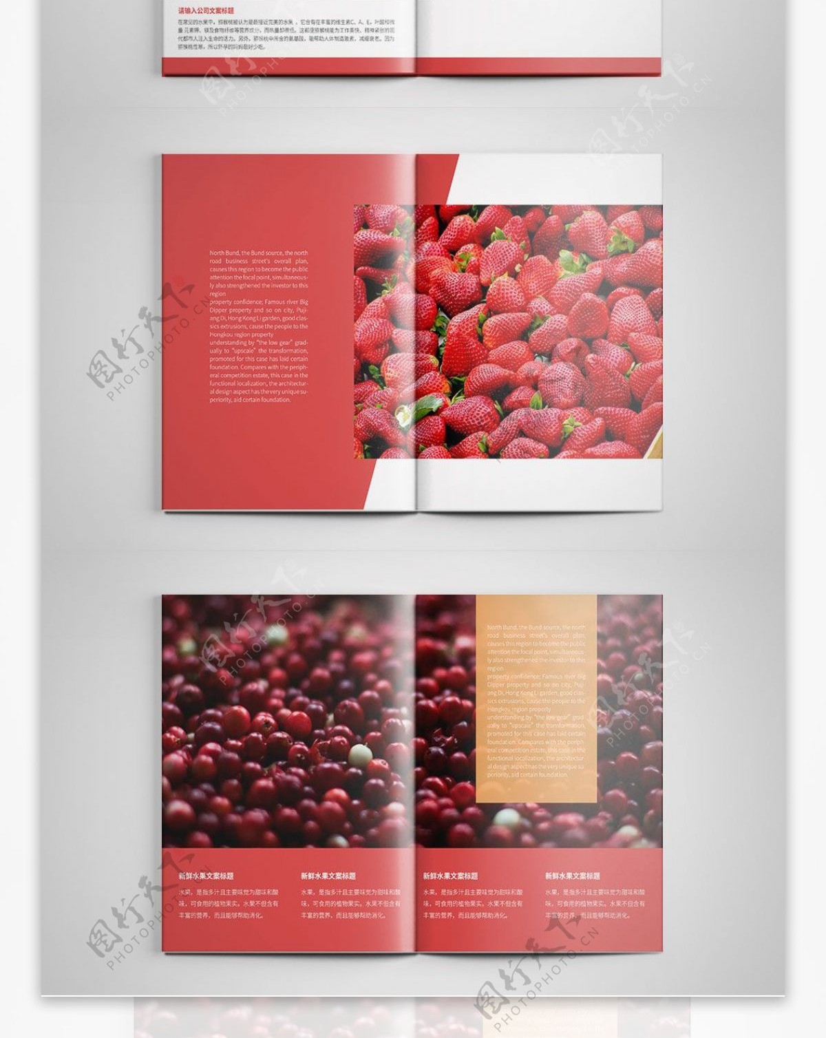 简约新鲜水果宣传画册设计PSD模板