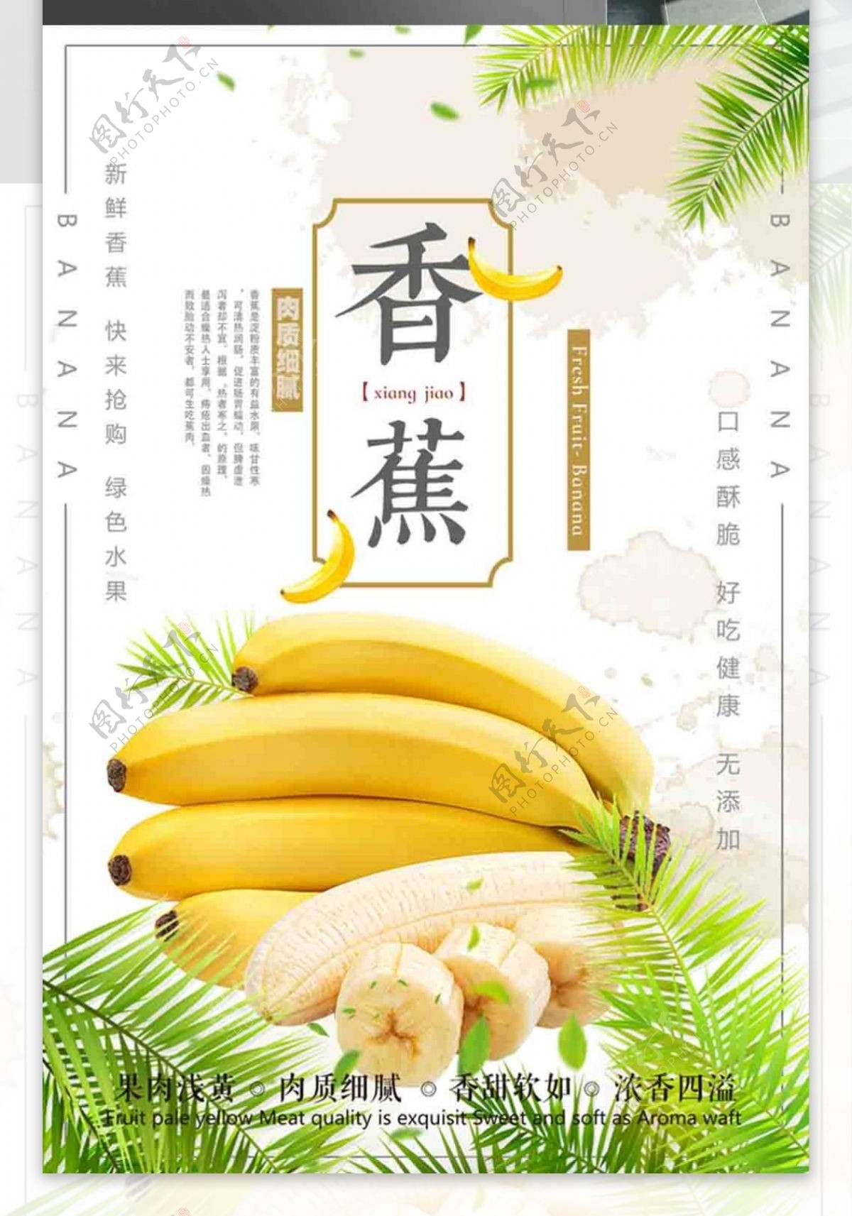 香蕉仙人蕉香牙蕉广东香蕉高州矮