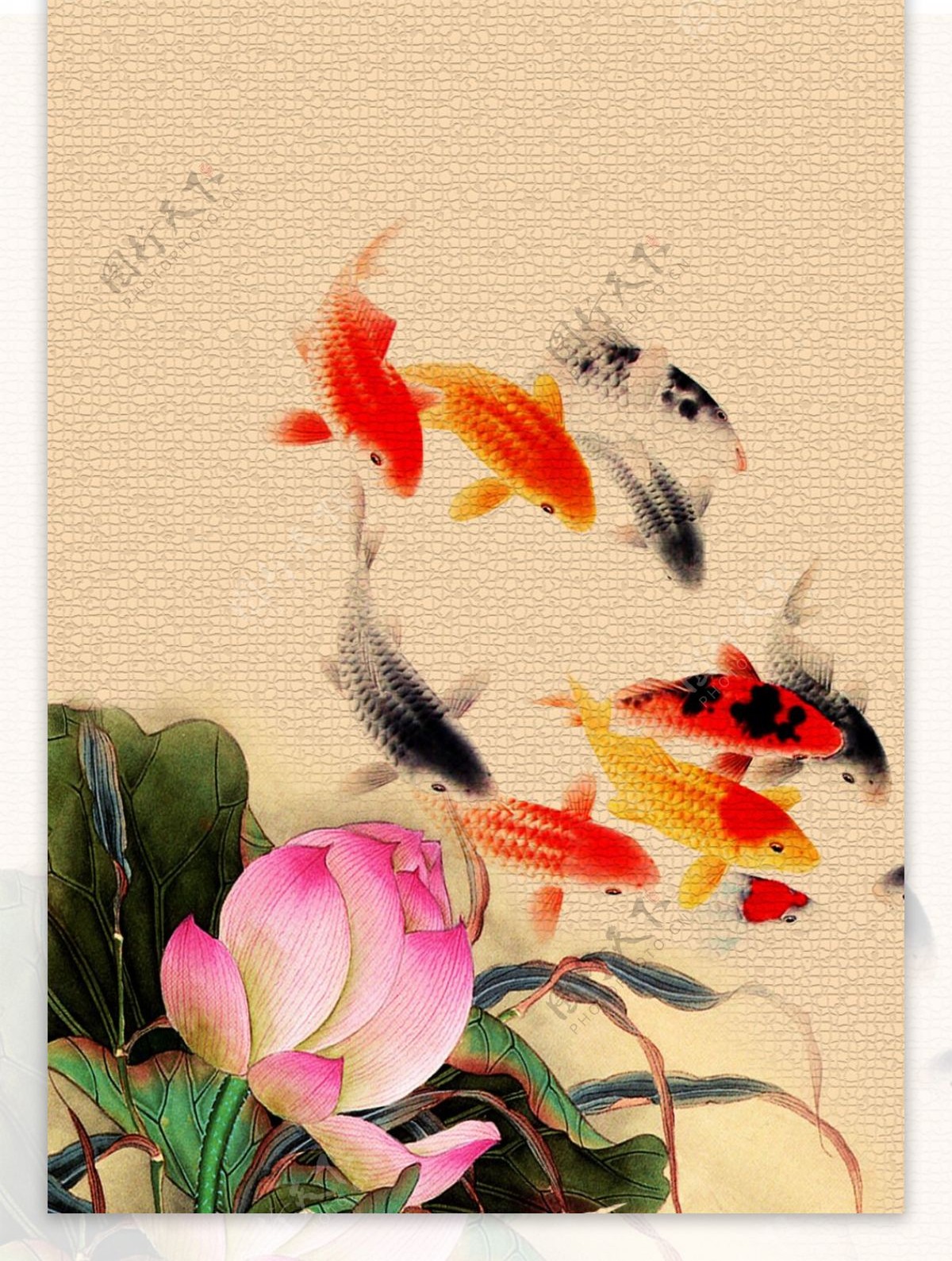 中国传统大气简约鲤鱼和荷花客厅单联装饰画
